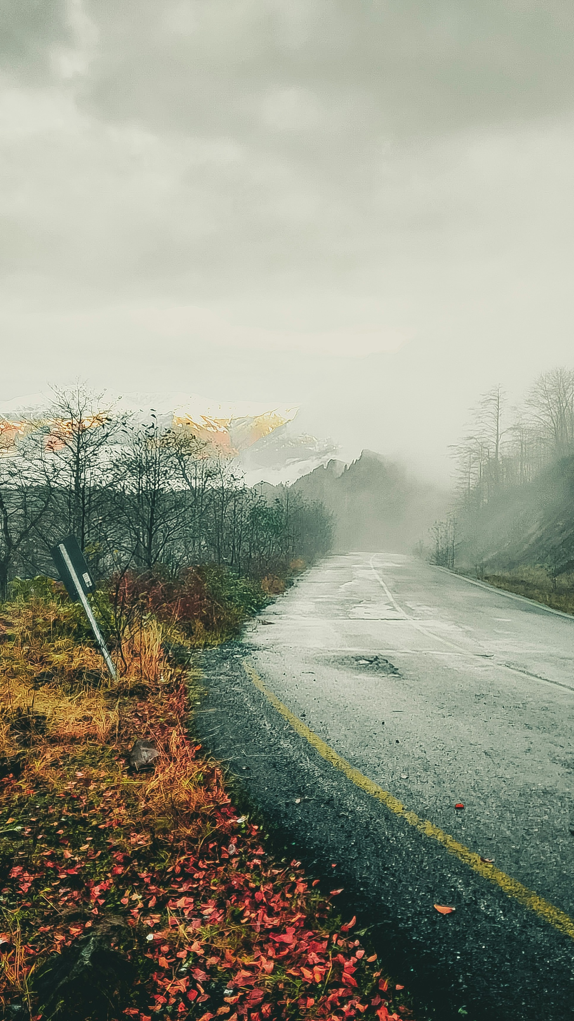 Wallpapers