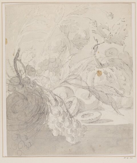 Fruit Still Life Pencil Sketch