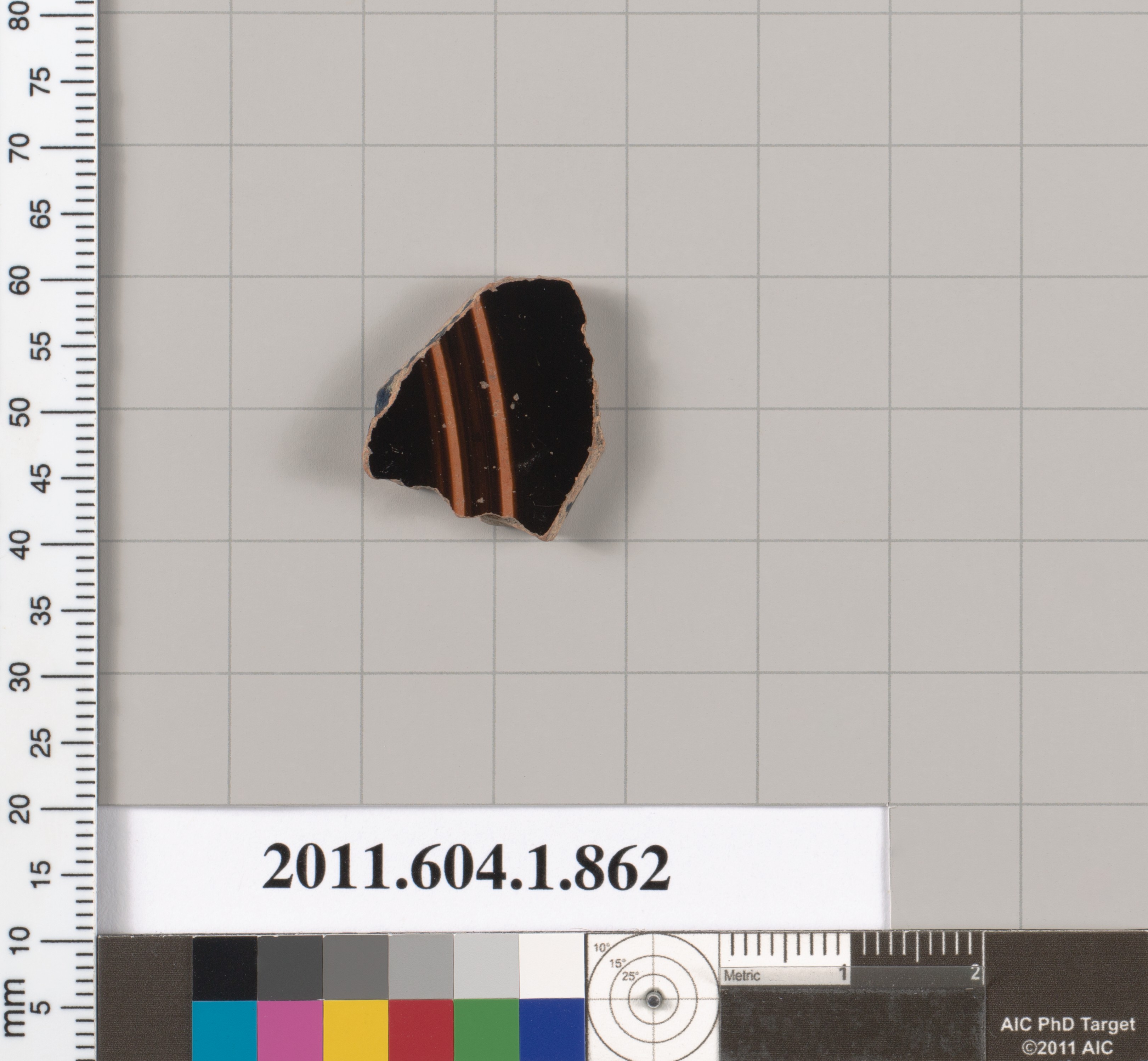 Cataloged Black Glaze Pottery Fragment