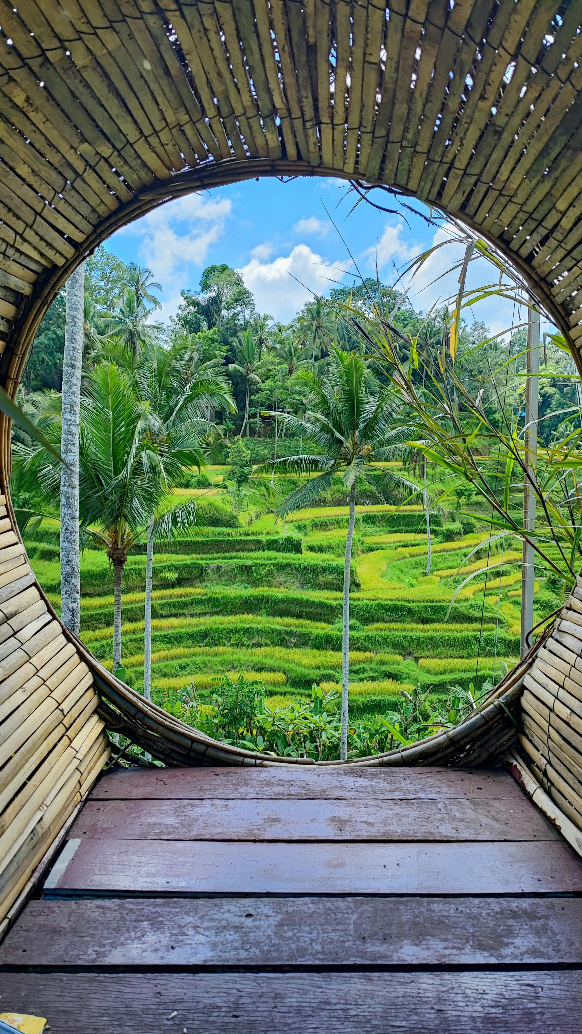 Wallpapers