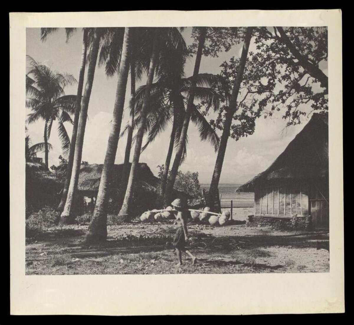 Tropical Coastal Village Scene