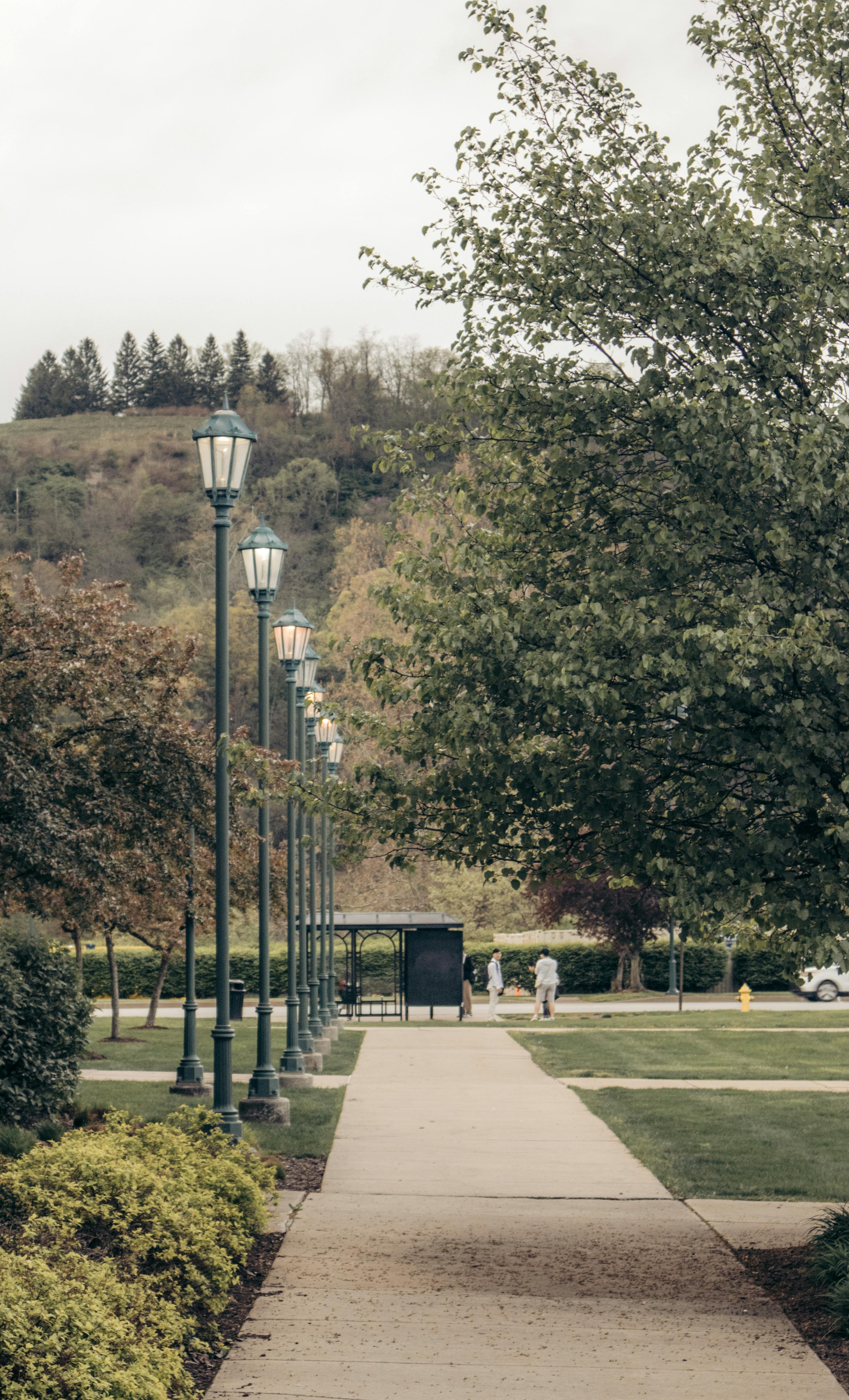Wallpapers