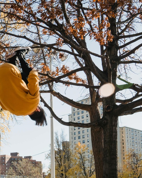 Man Hanging Upside Down in Autumn Tree