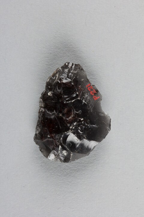 Cataloged Dark Obsidian Stone Specimen