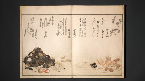 Antique Japanese Shell Drawing Album Page