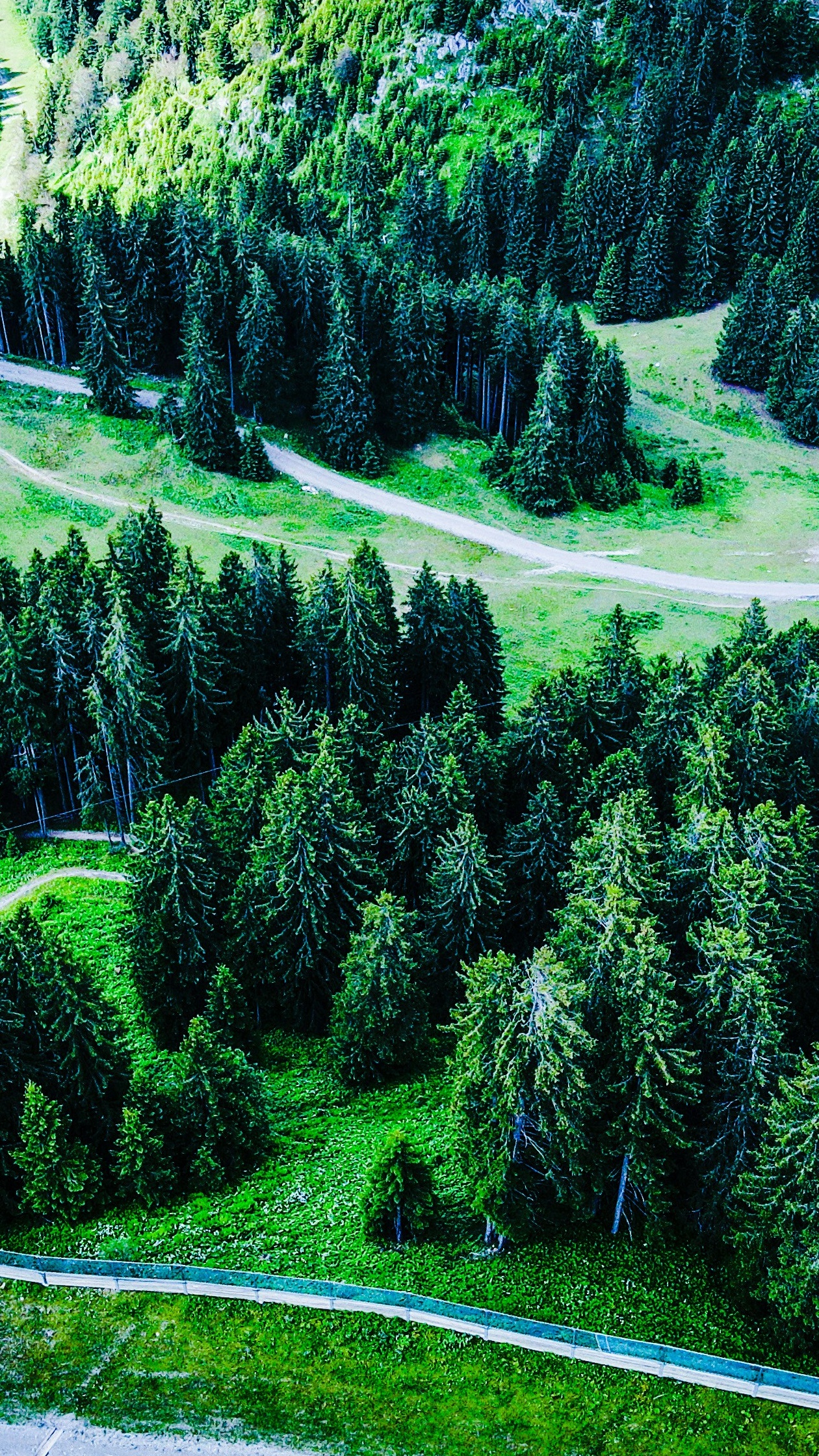 Wallpapers