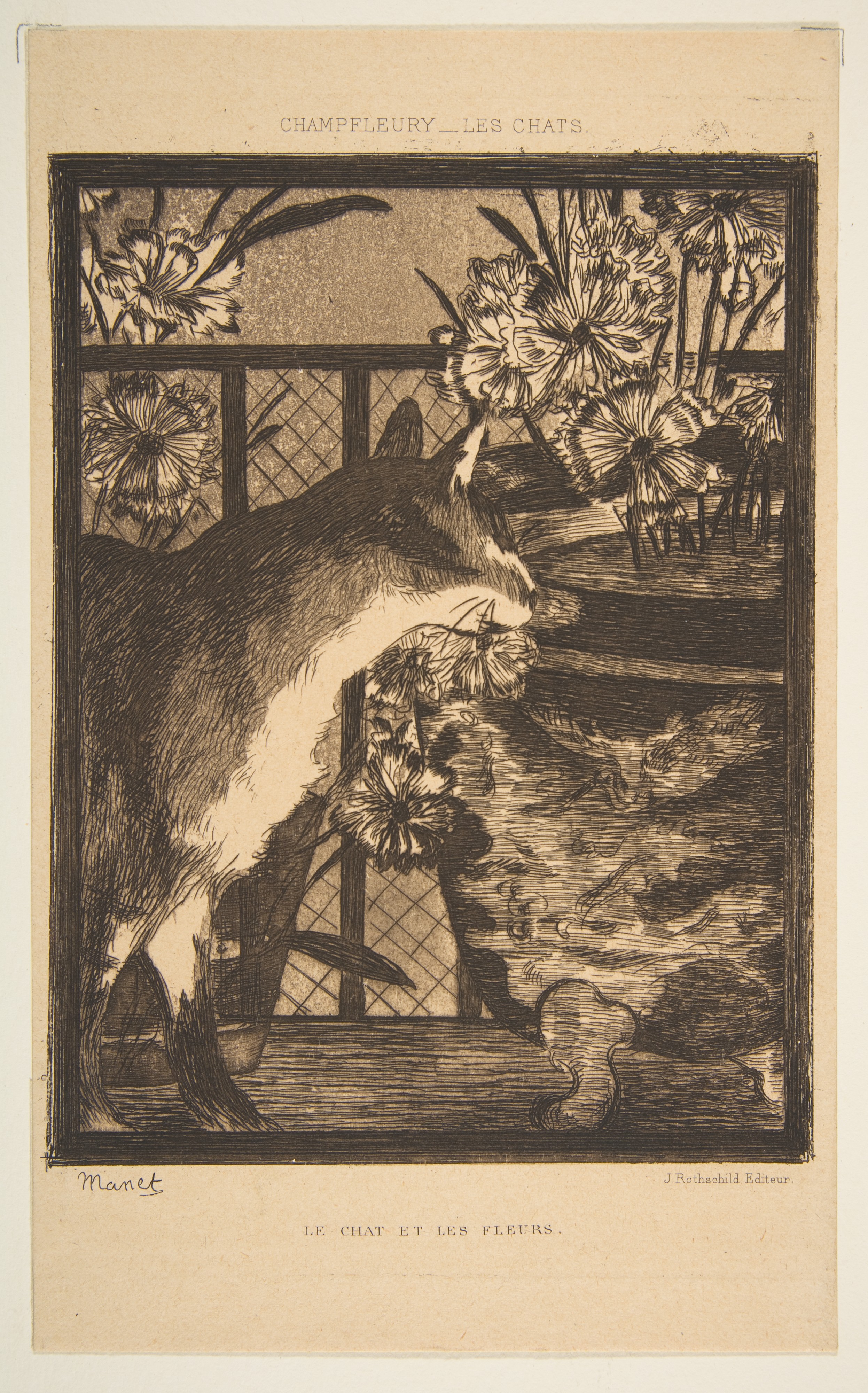 The Cat and Flowers