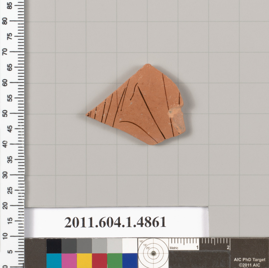 Ancient Terracotta Pottery Shard