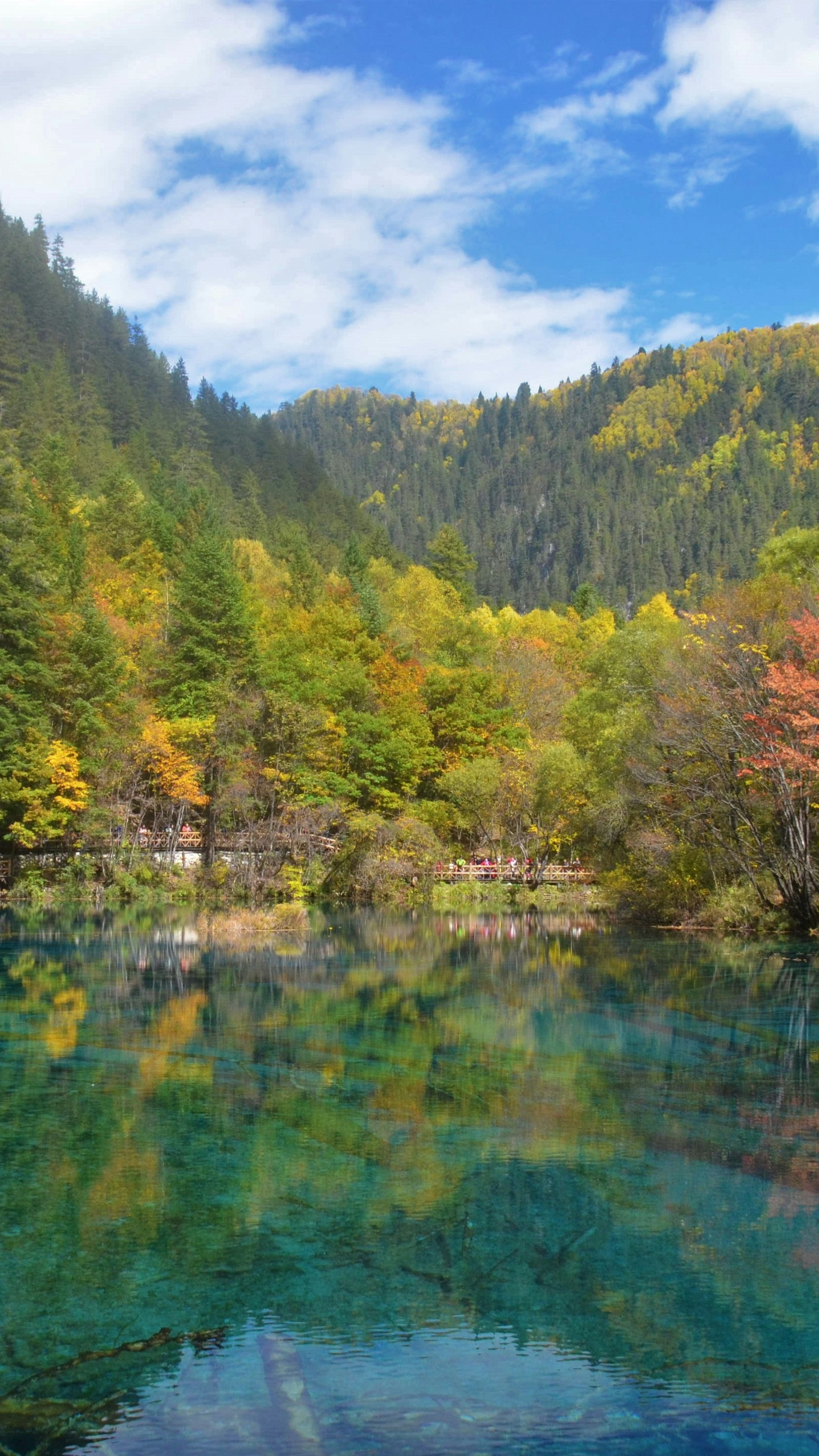 Autumn Mountain Lake Landscape