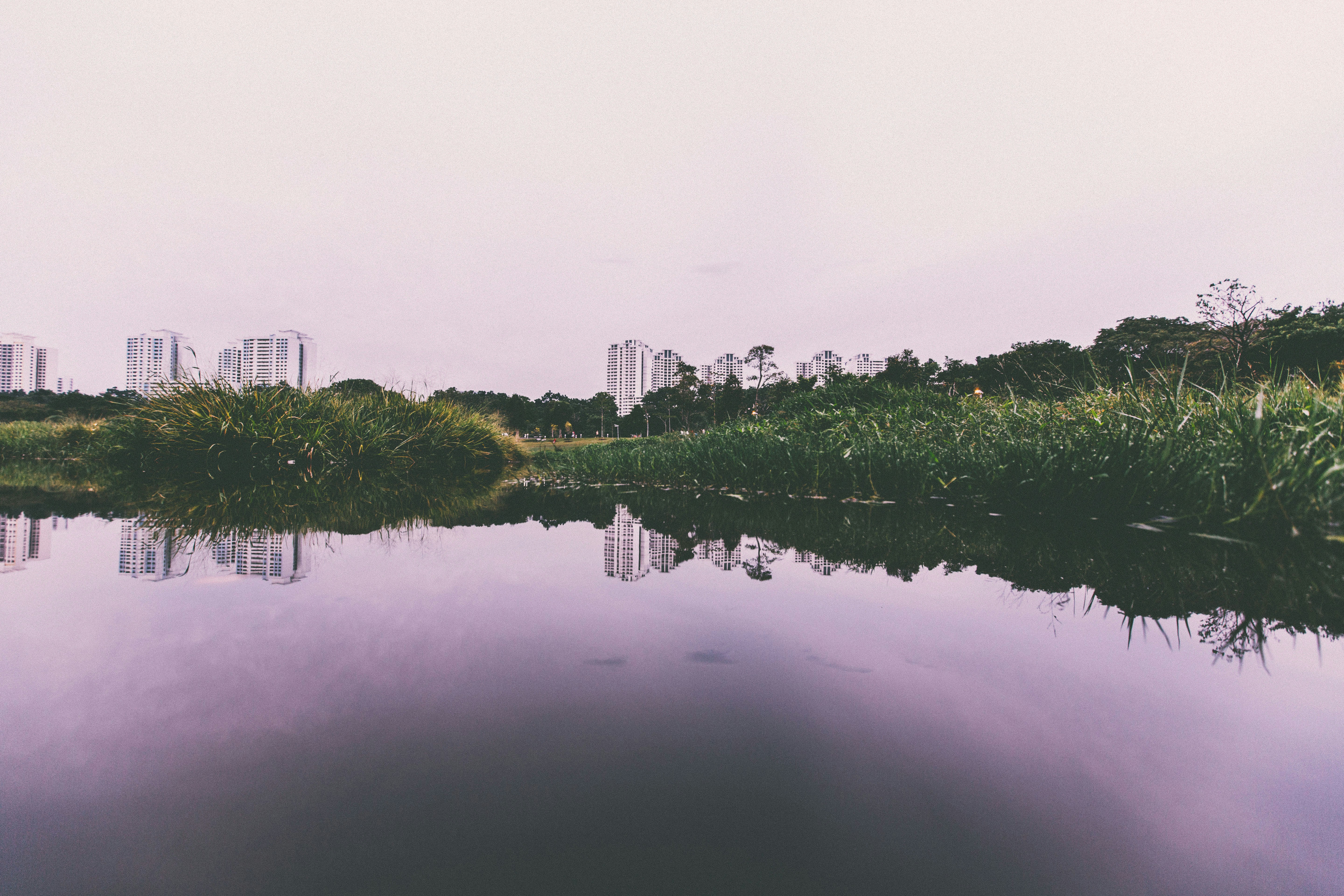 City Park Lake Reflection