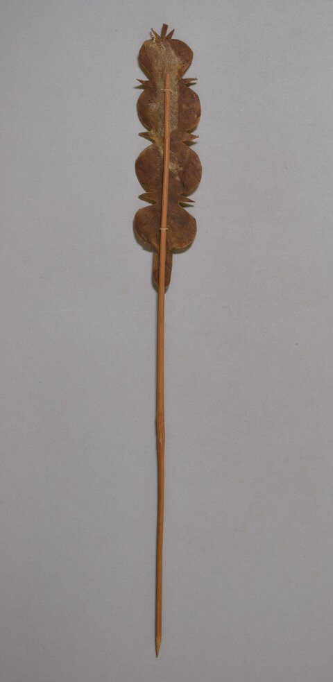 Dried Leaf Fletched Traditional Arrow