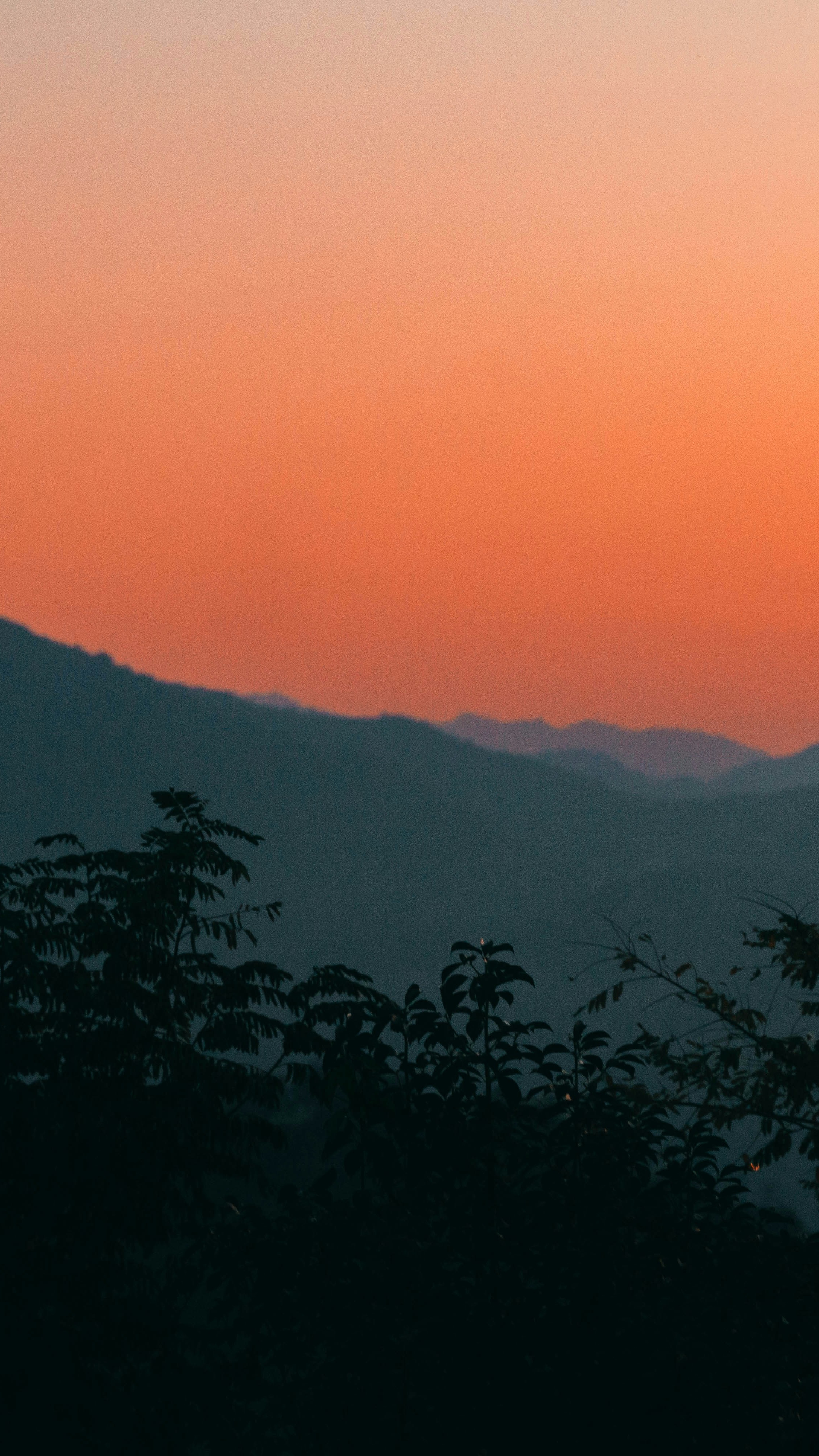 Landscapes
