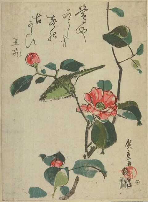 Bird and Camellias Japanese Ukiyo-e Print