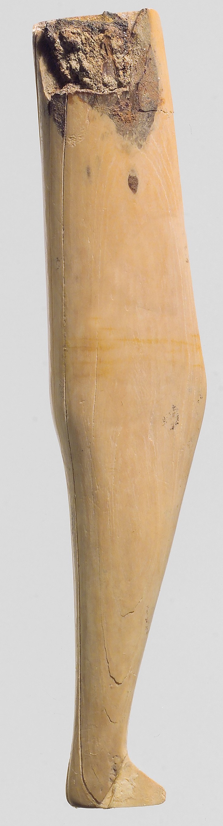 Ancient Ivory Human Leg Fragment