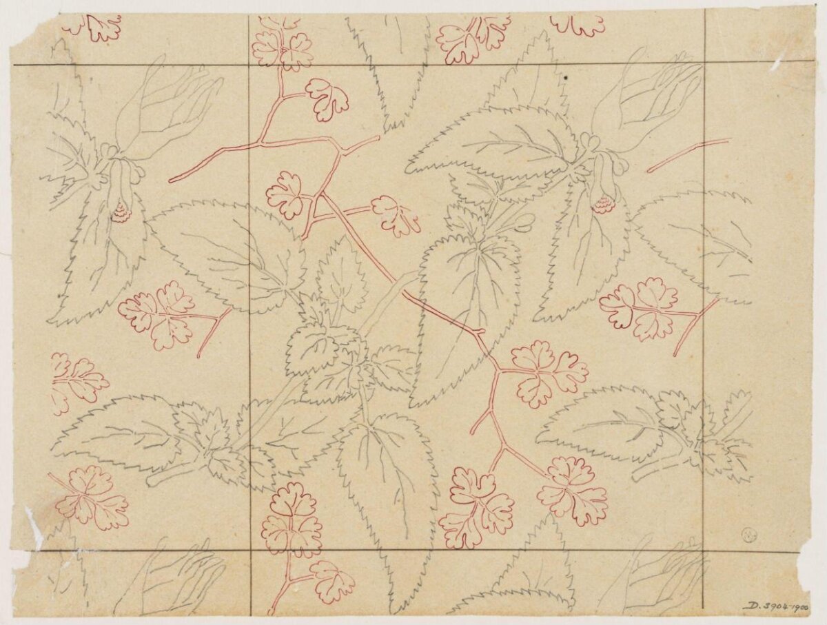Botanical Plant Pattern Sketch