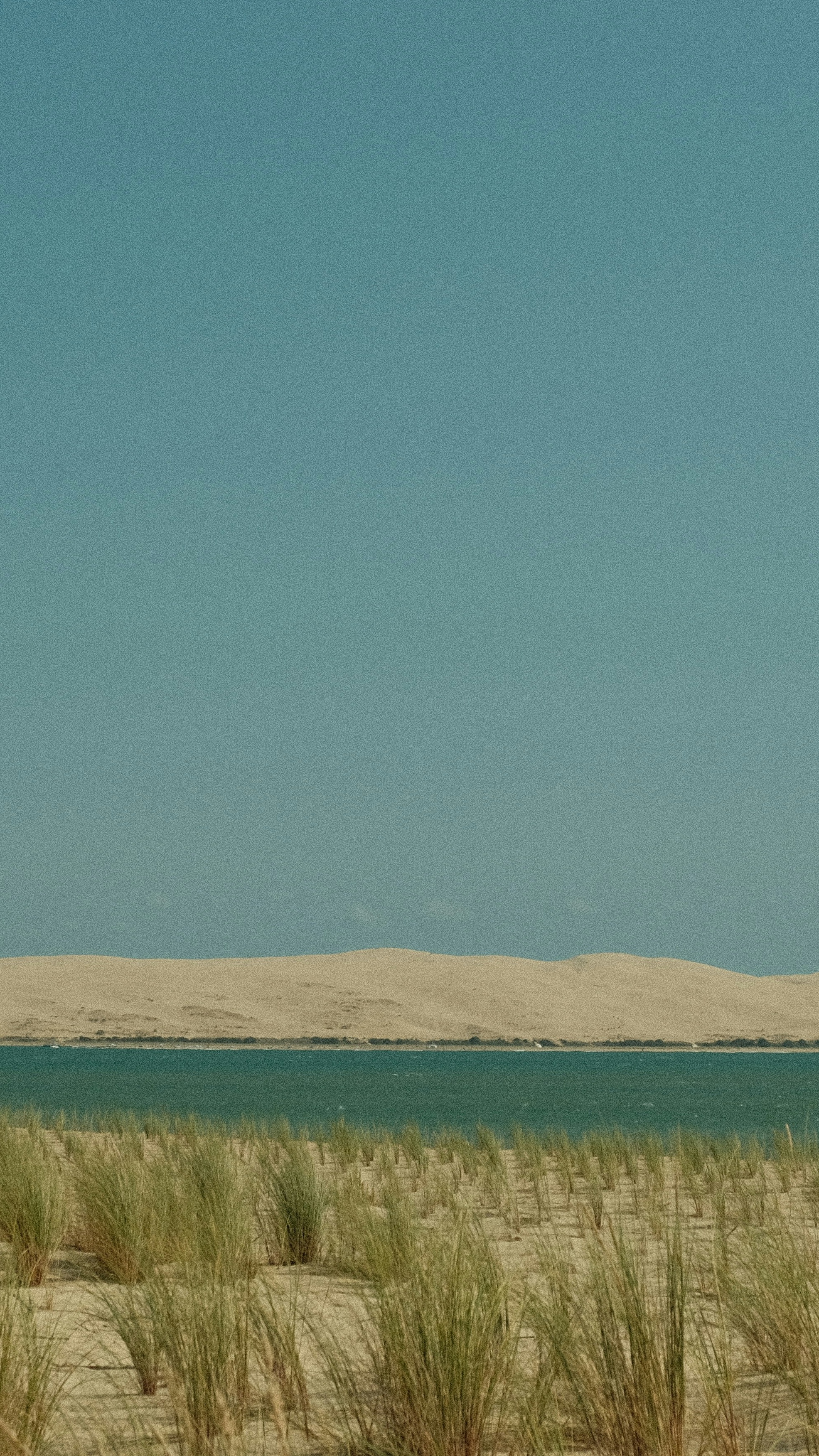 Landscapes