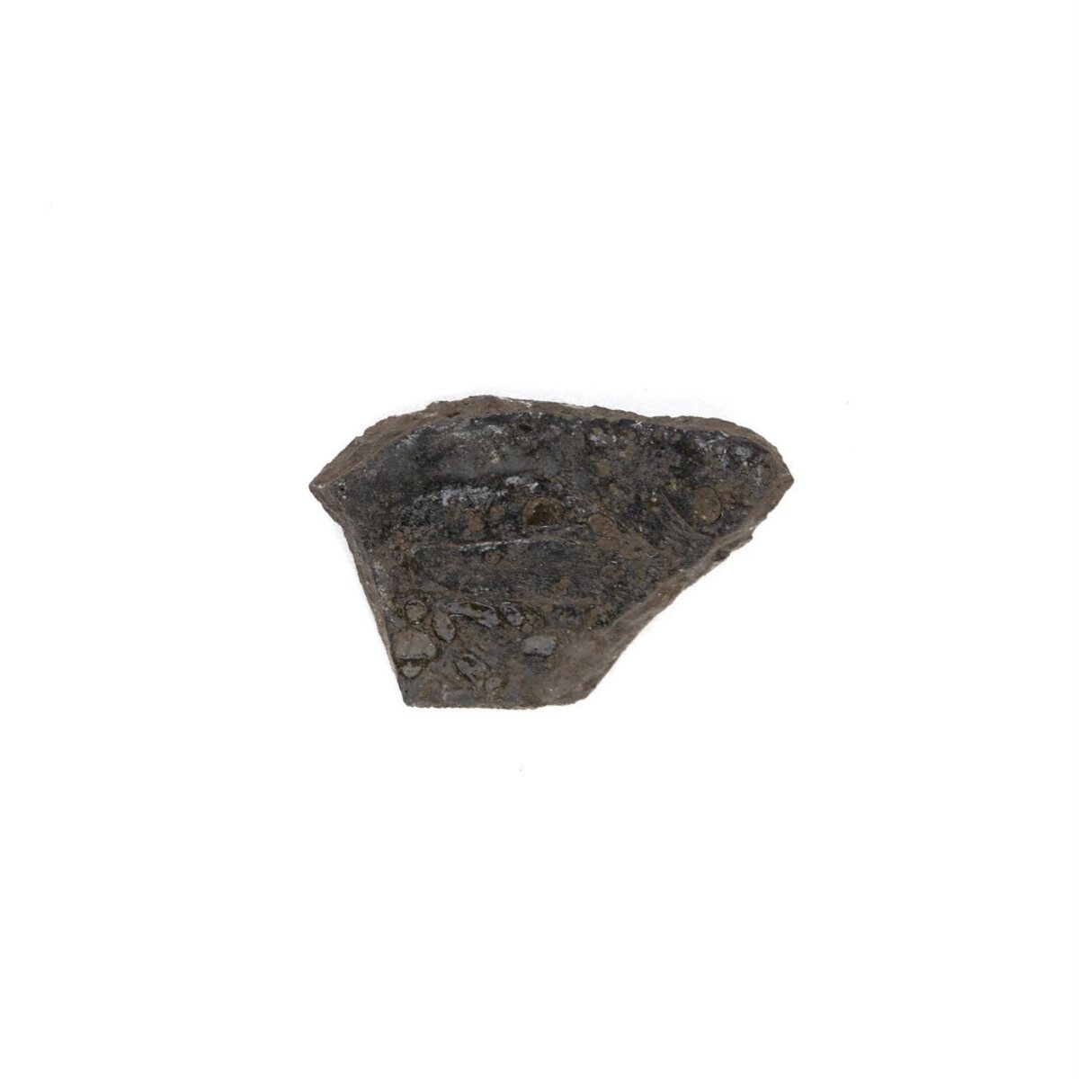 Fragmented Dark Rock Specimen