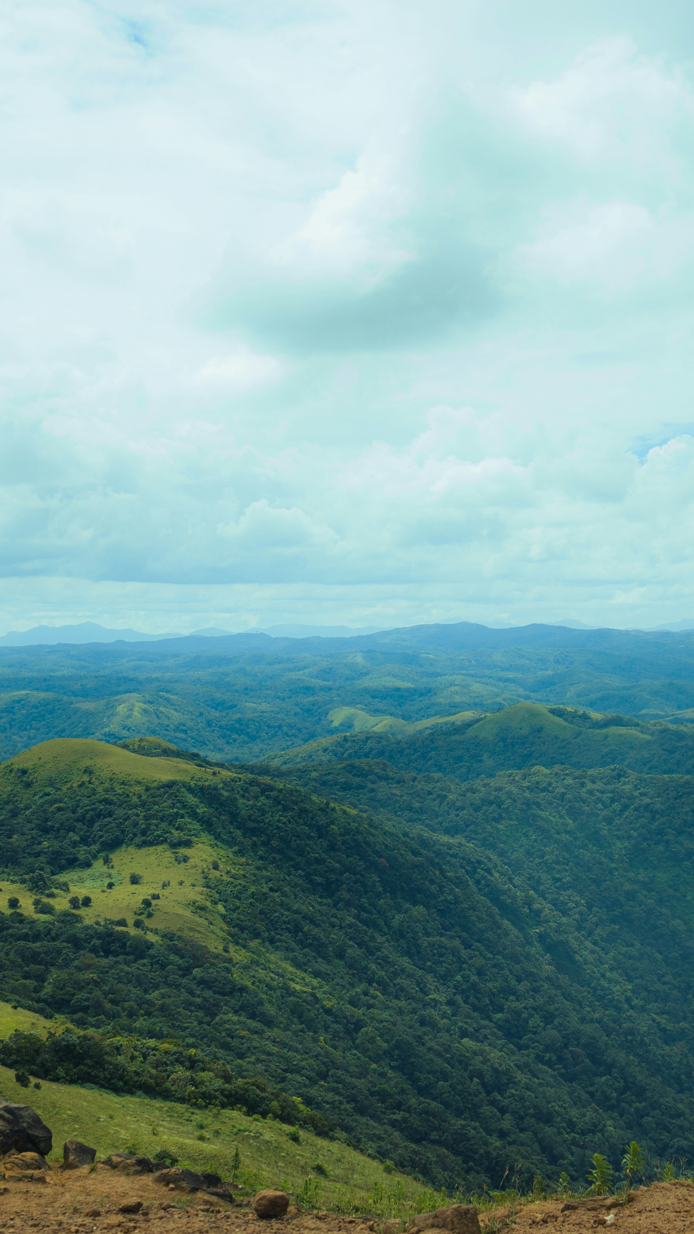 Landscapes
