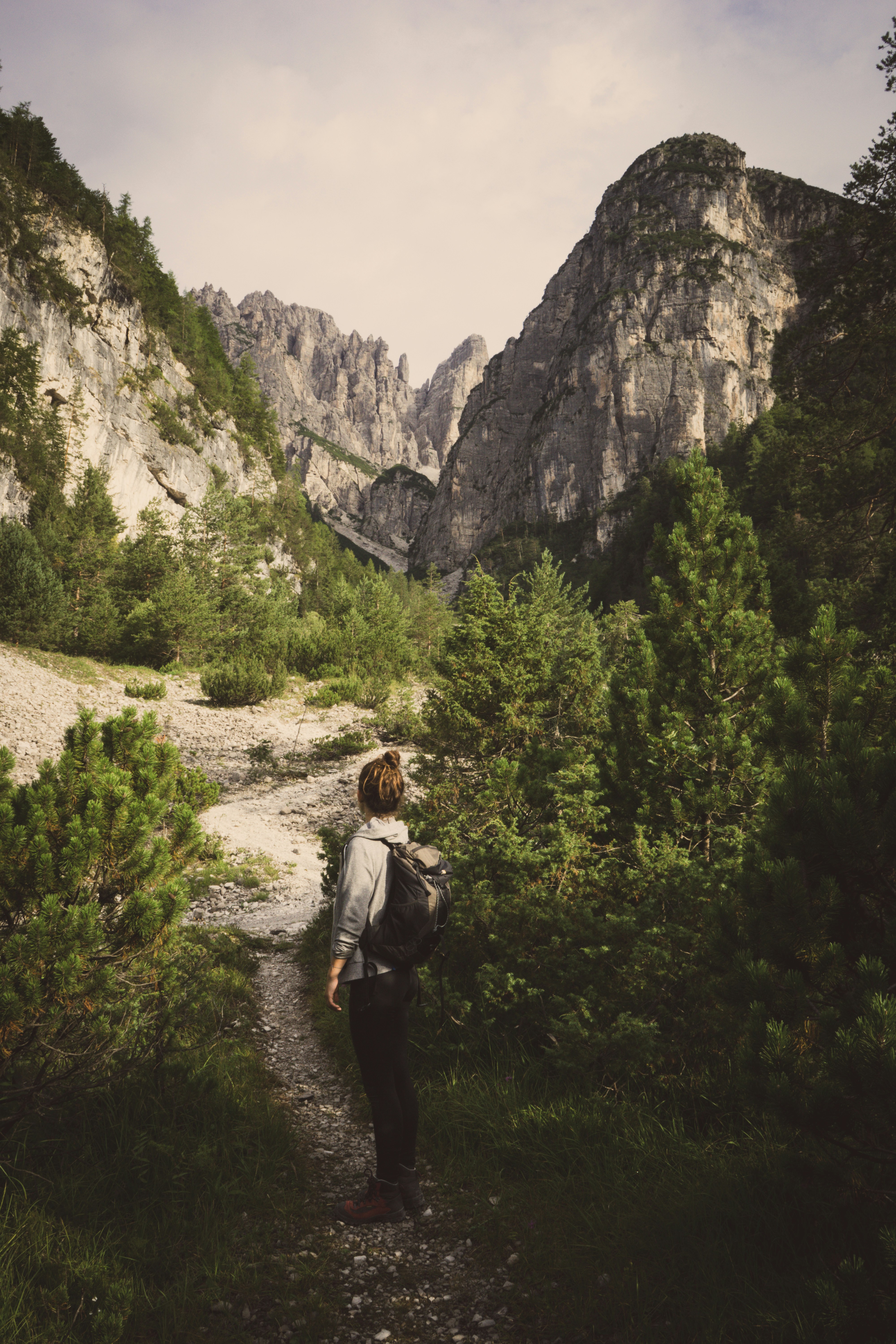 Hiker Overlooks Mountain Gorge