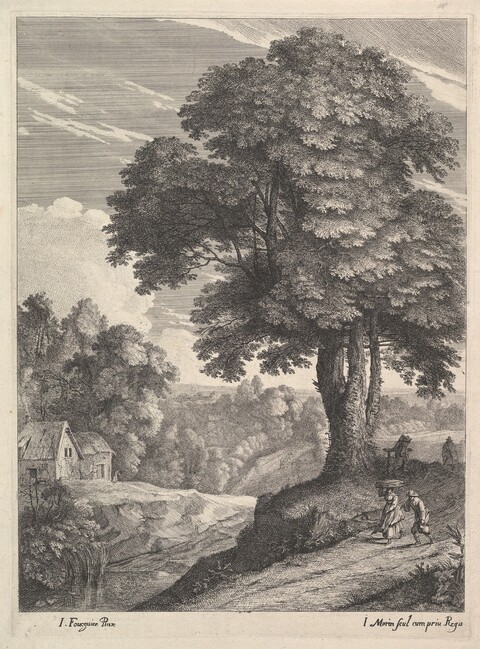 Rural Landscape Etching with Large Tree