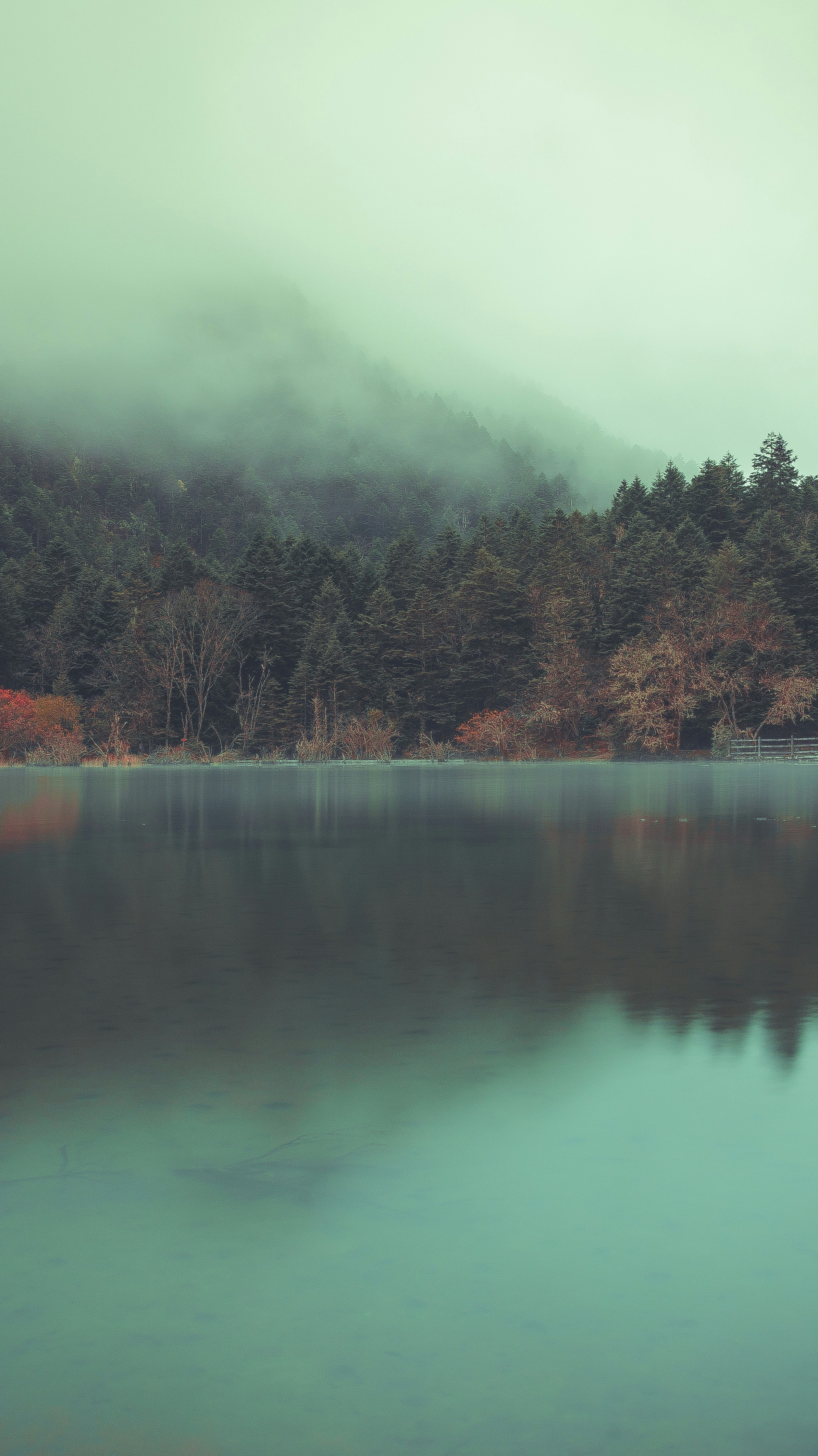 Wallpapers
