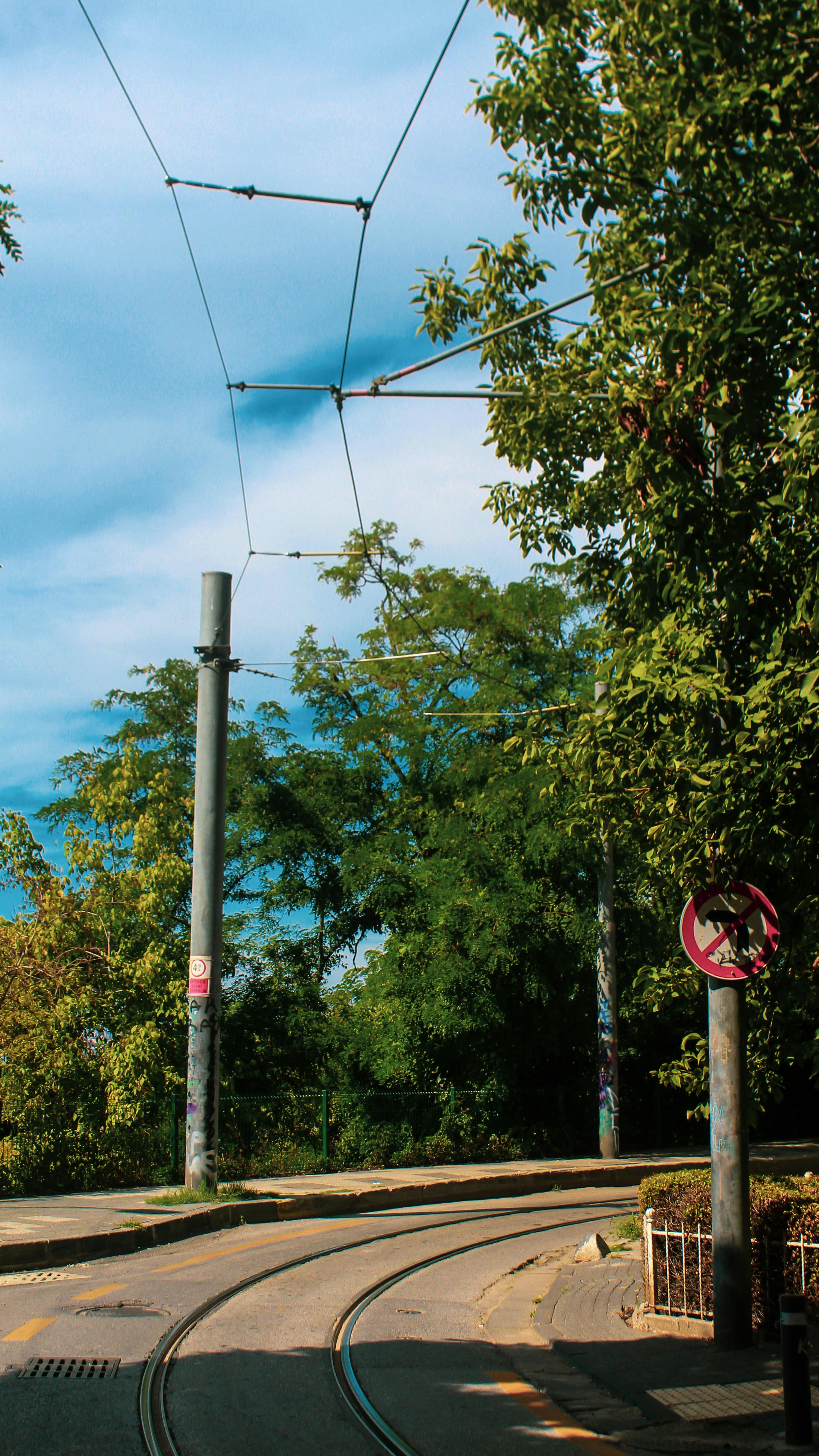 Curved Tram Tracks on Tree-Lined Street