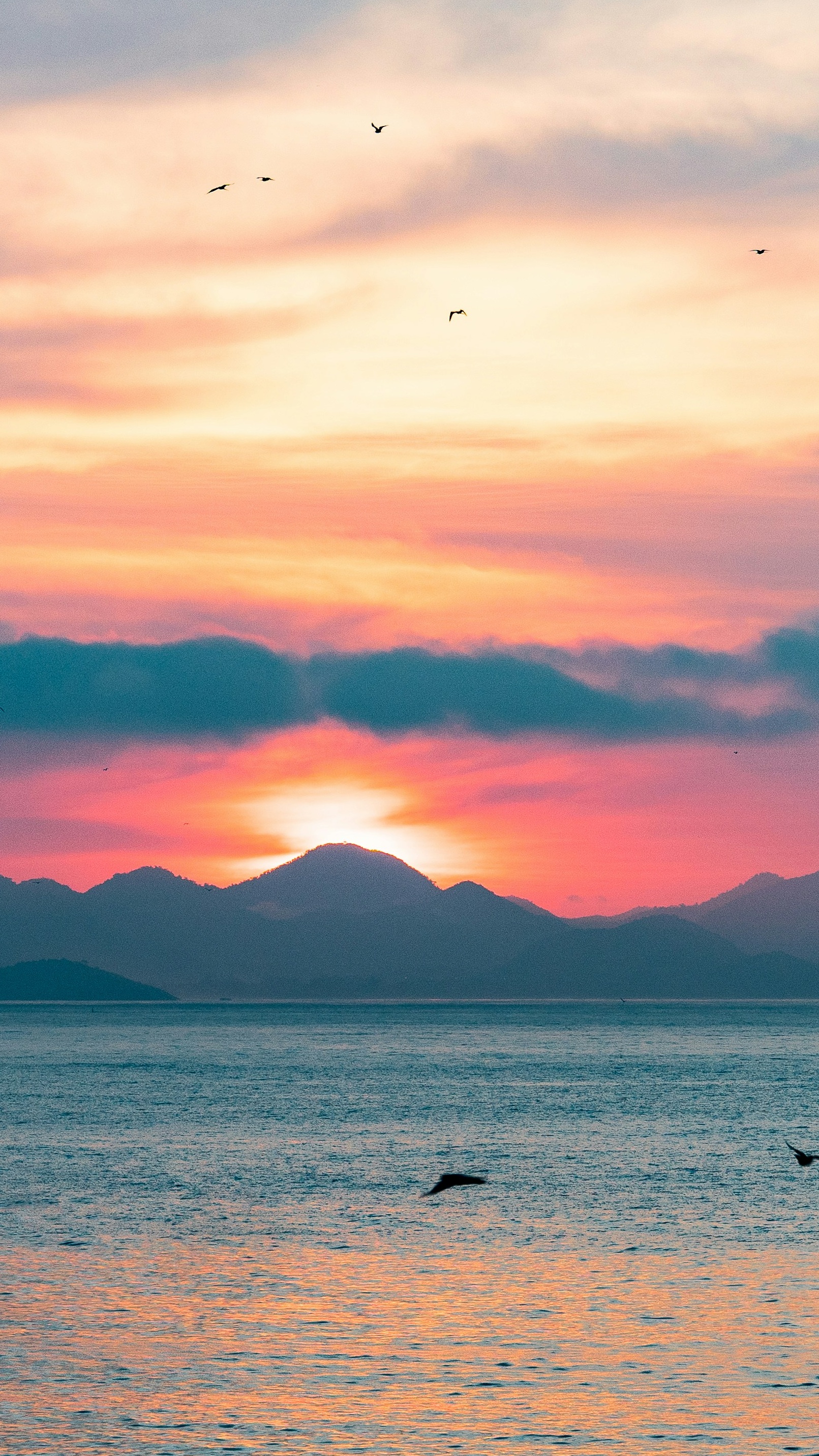 Wallpapers