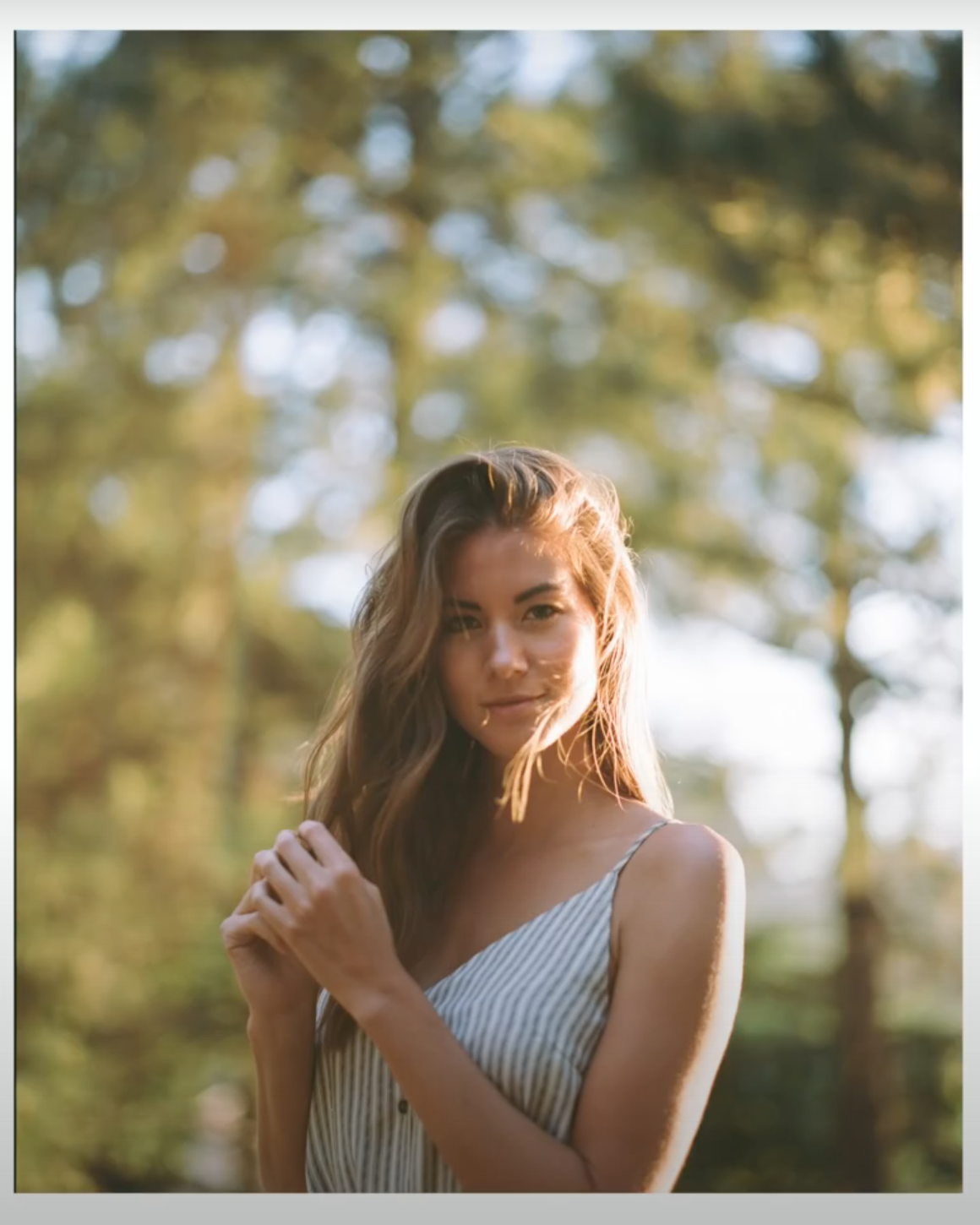Forest & Flora