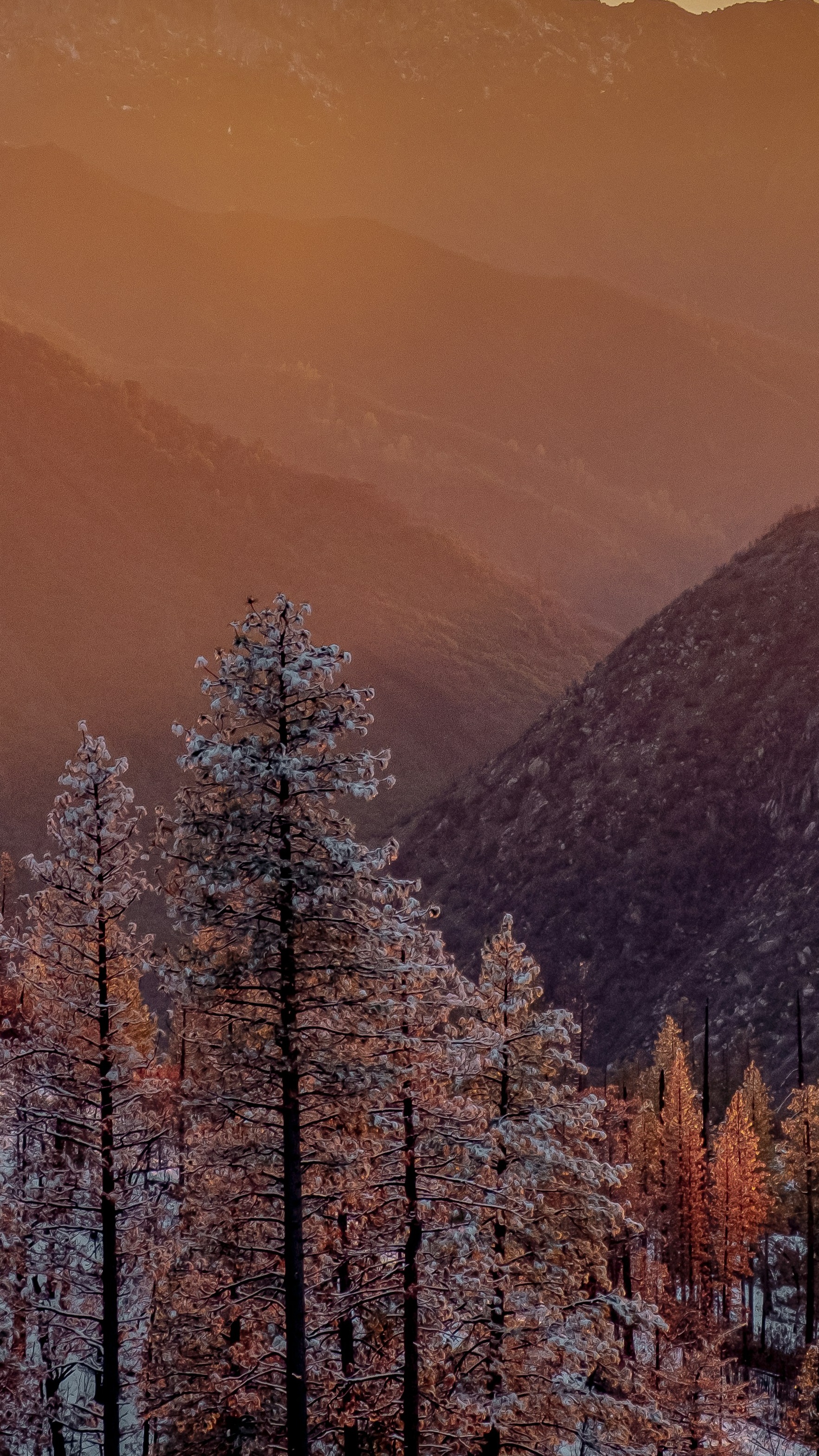 Wallpapers