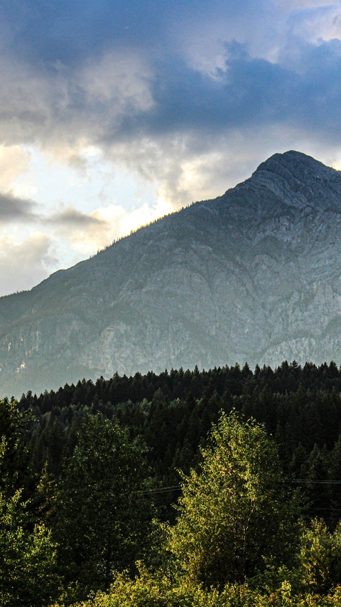 Mountain Forest Landscape Under Cloudy Sky