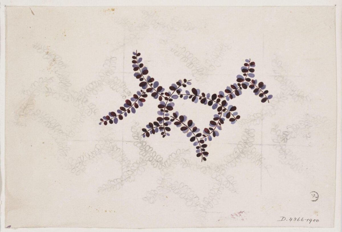 Star-Shaped Leaf Design Sketch