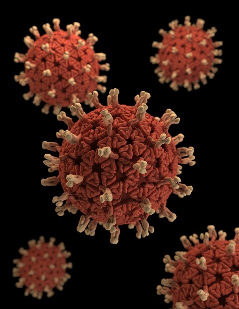 3D Rendering of Coronavirus Particles