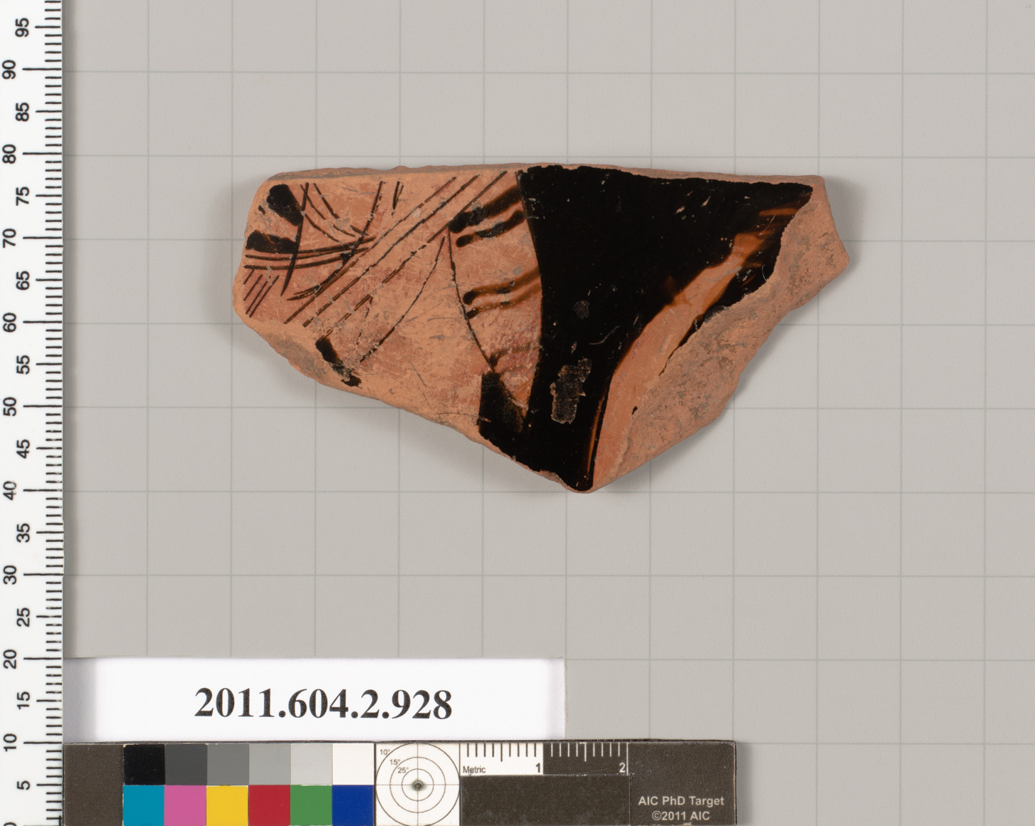 Ancient Pottery Fragment Specimen