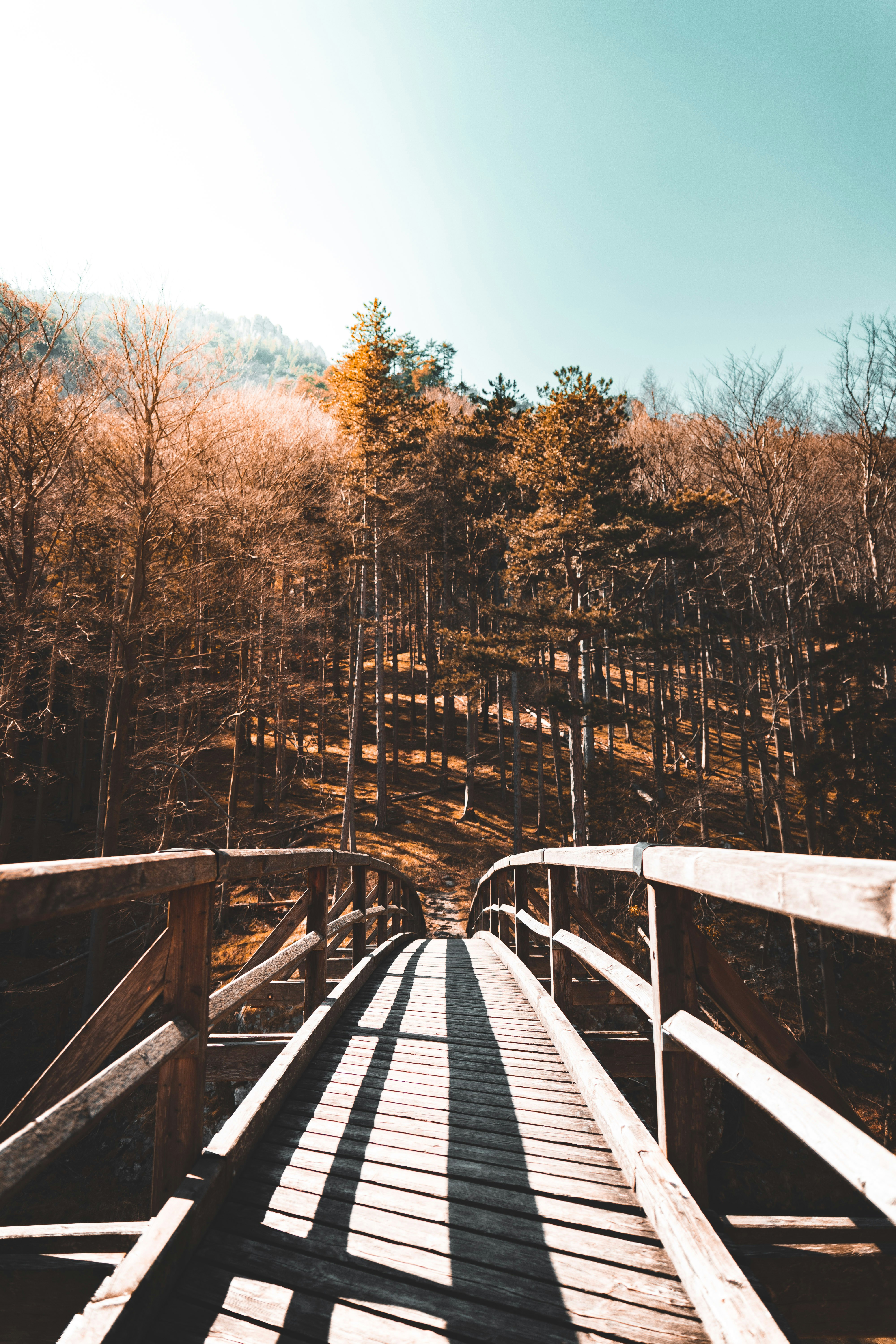 Wooden Bridge Towards Forest Hillside