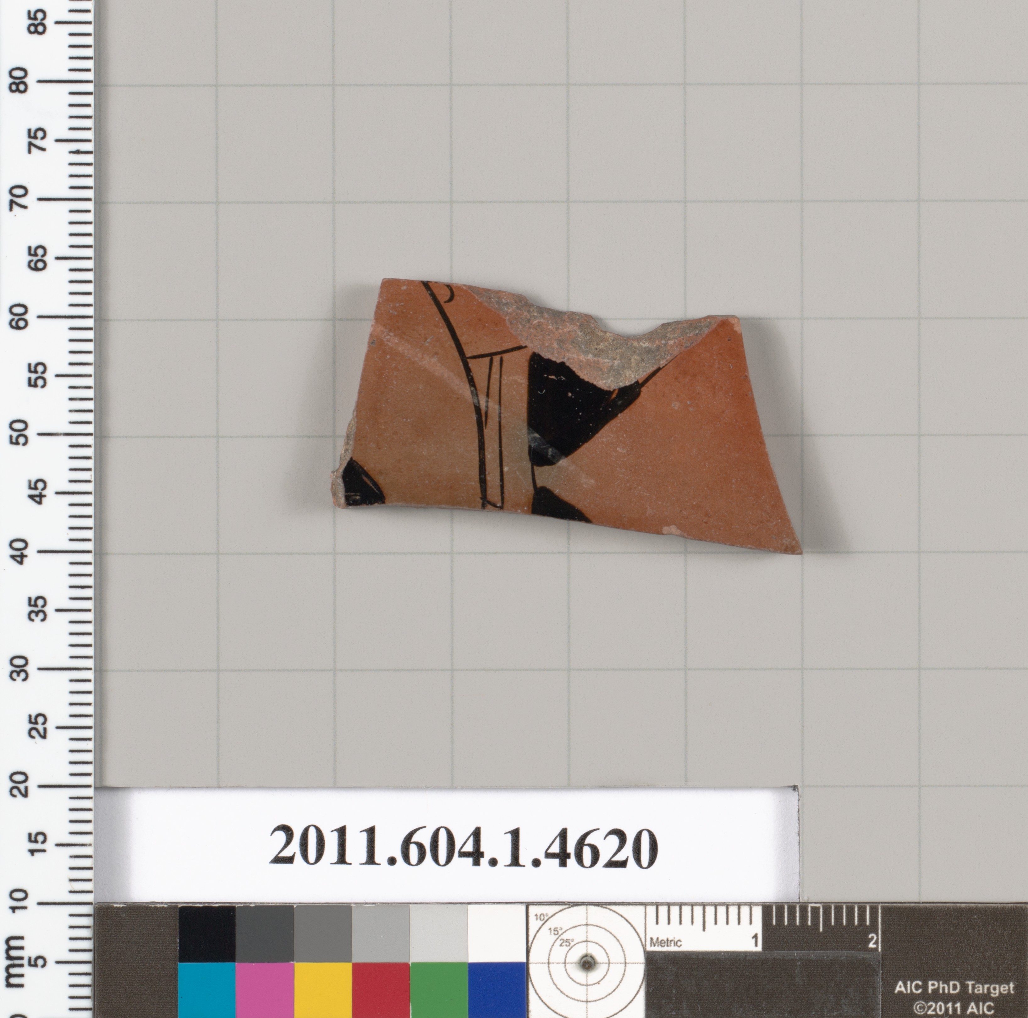 Ancient Pottery Fragment