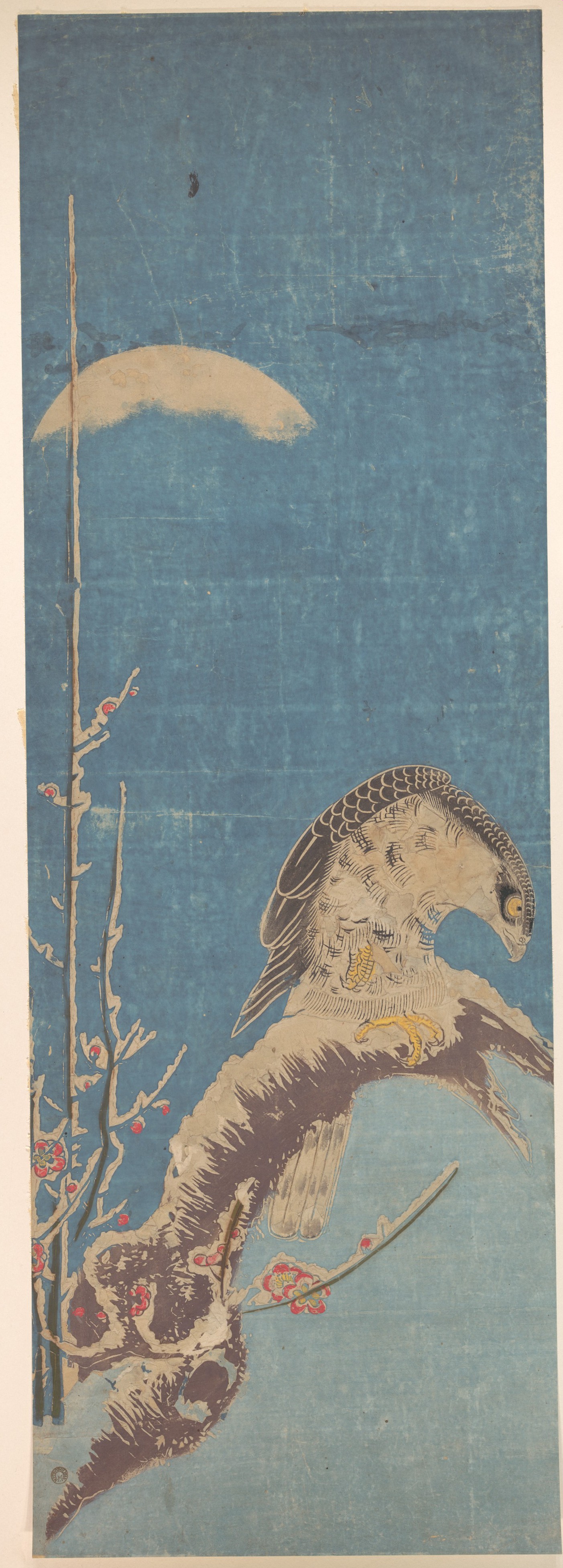Hawk on Plum Branch Under Moon