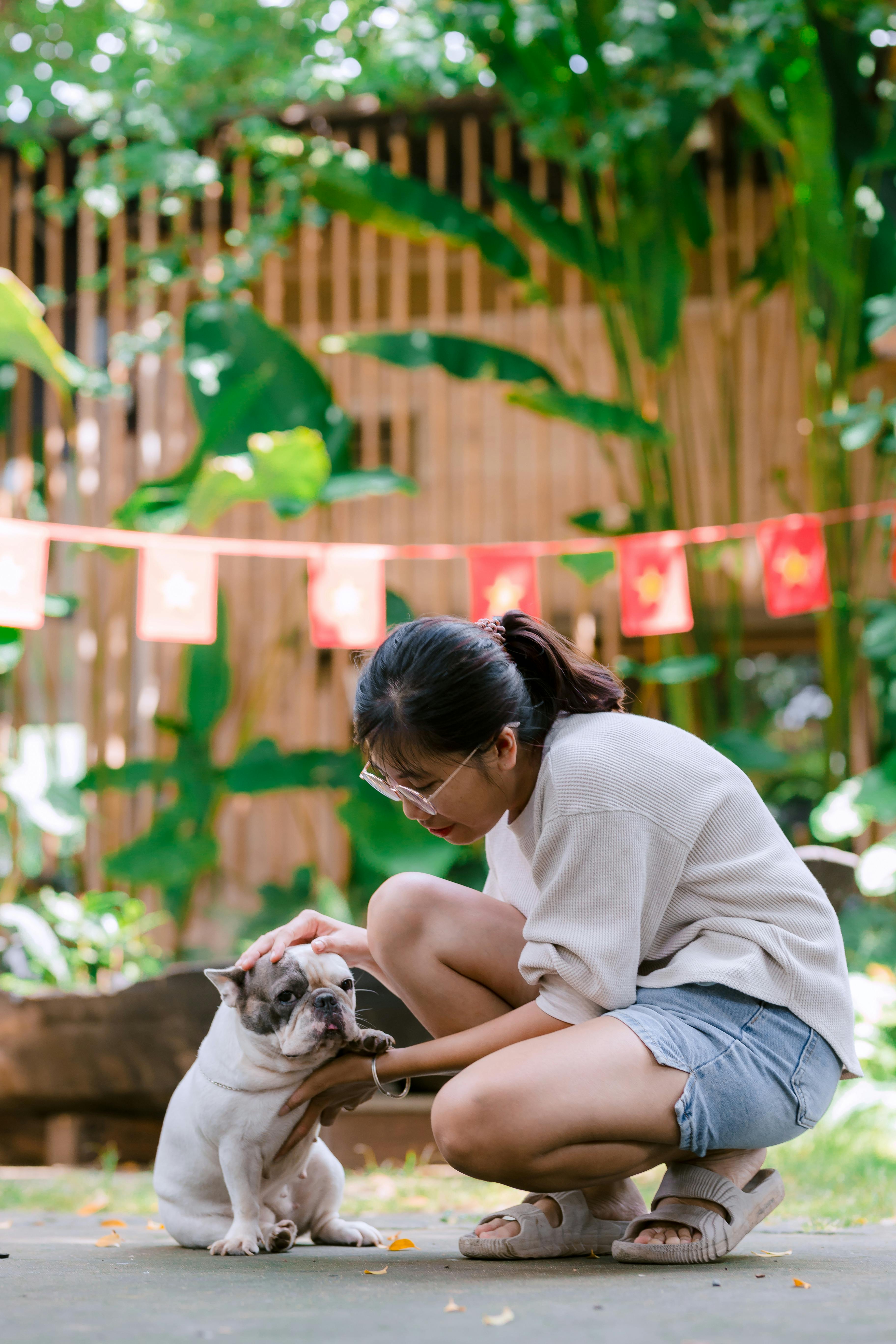 Woman Petting French Bulldog Outdoors
