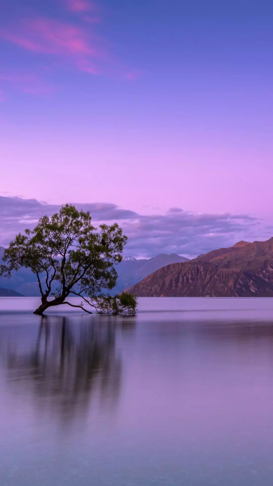Landscapes