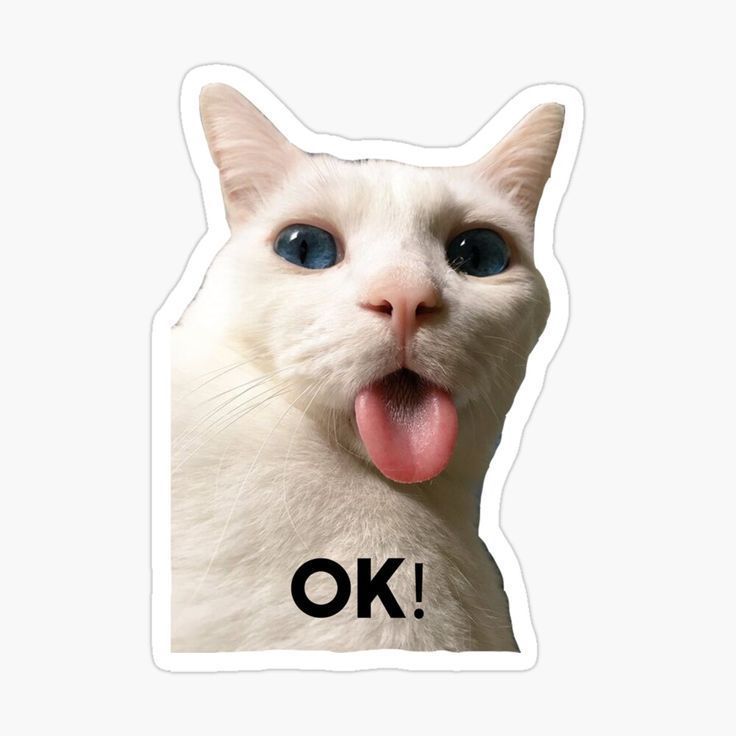 White Cat OK Meme Sticker