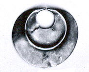 Close-up of Slotted Screw Head