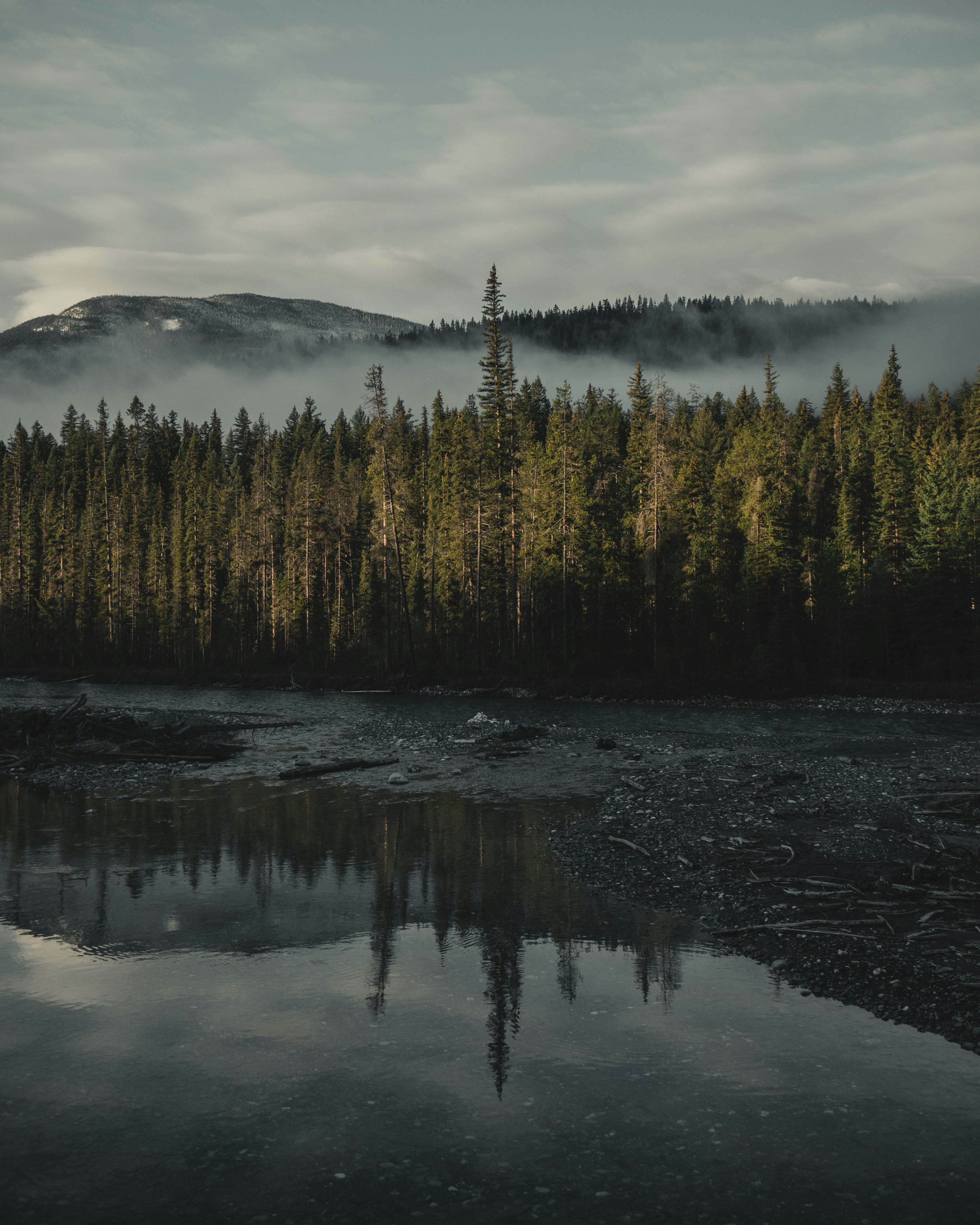 Misty Forest River Landscape