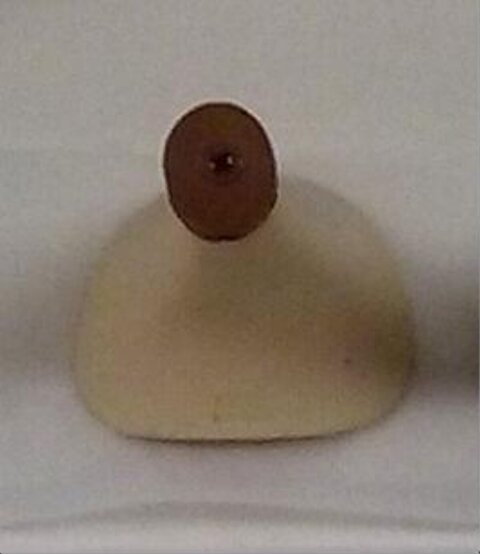 Close-up of Corked Wine Bottle Top