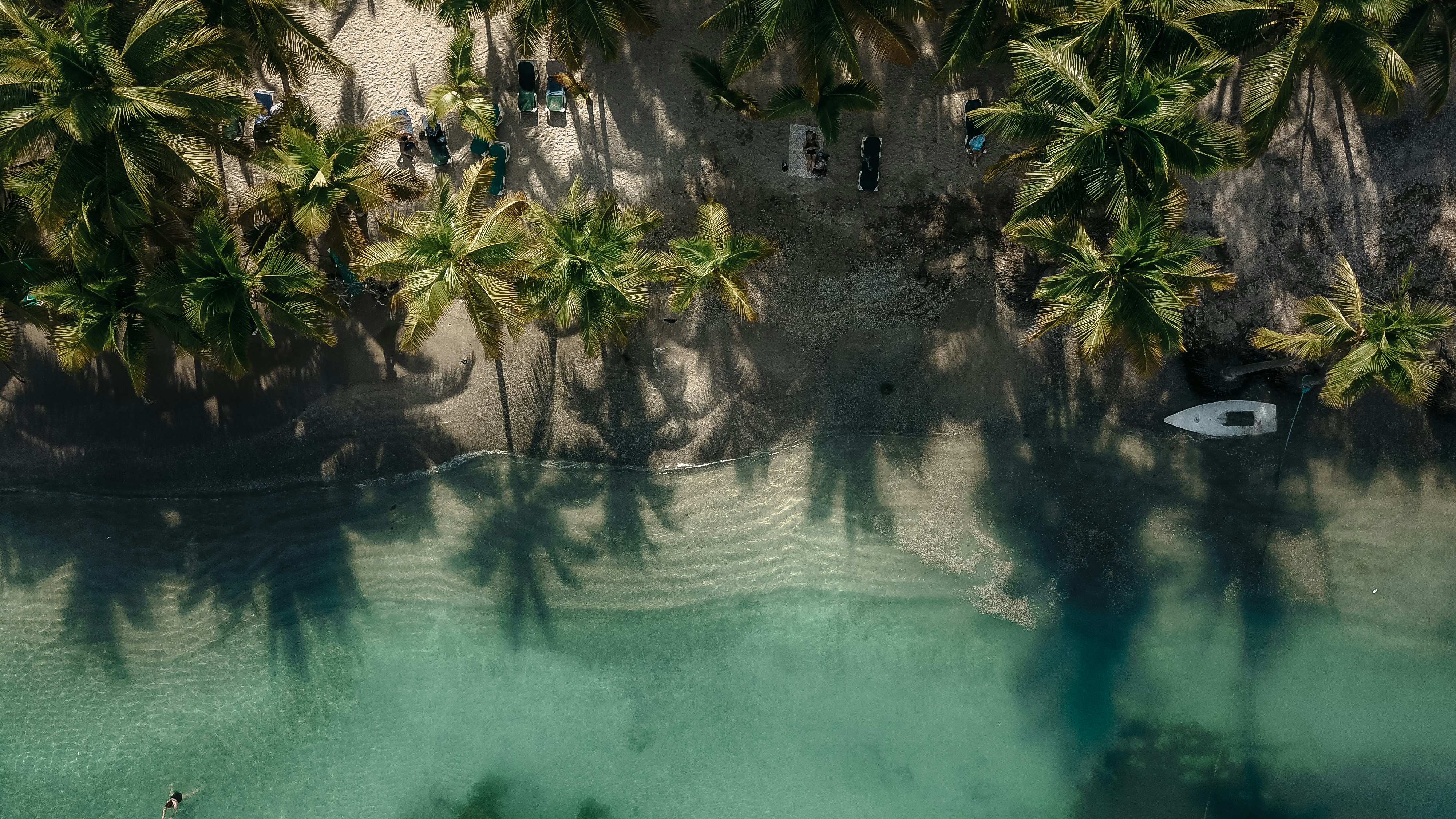 Aerial View of Tropical Palm Beach