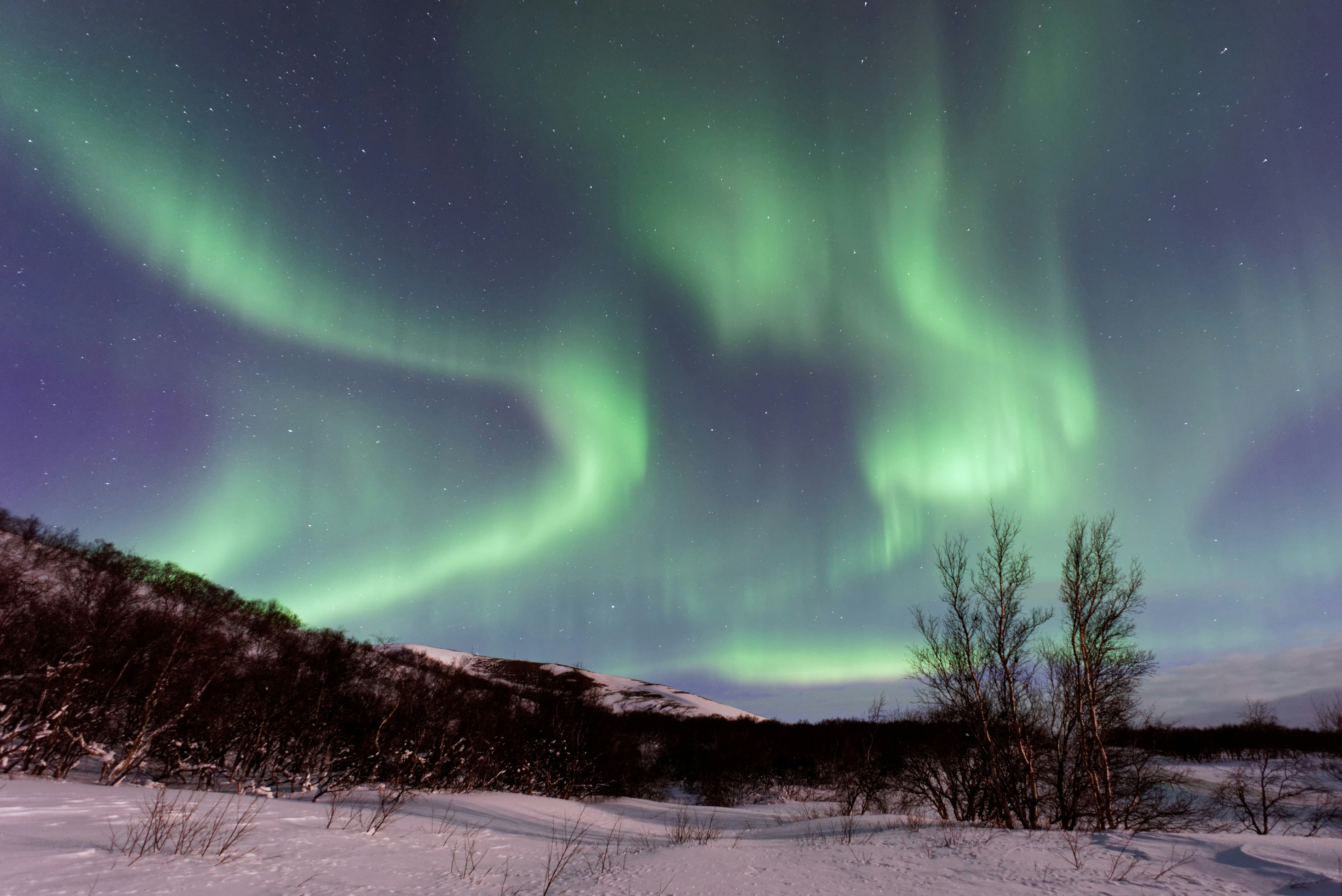 Northern Lights Over Snowy Landscape