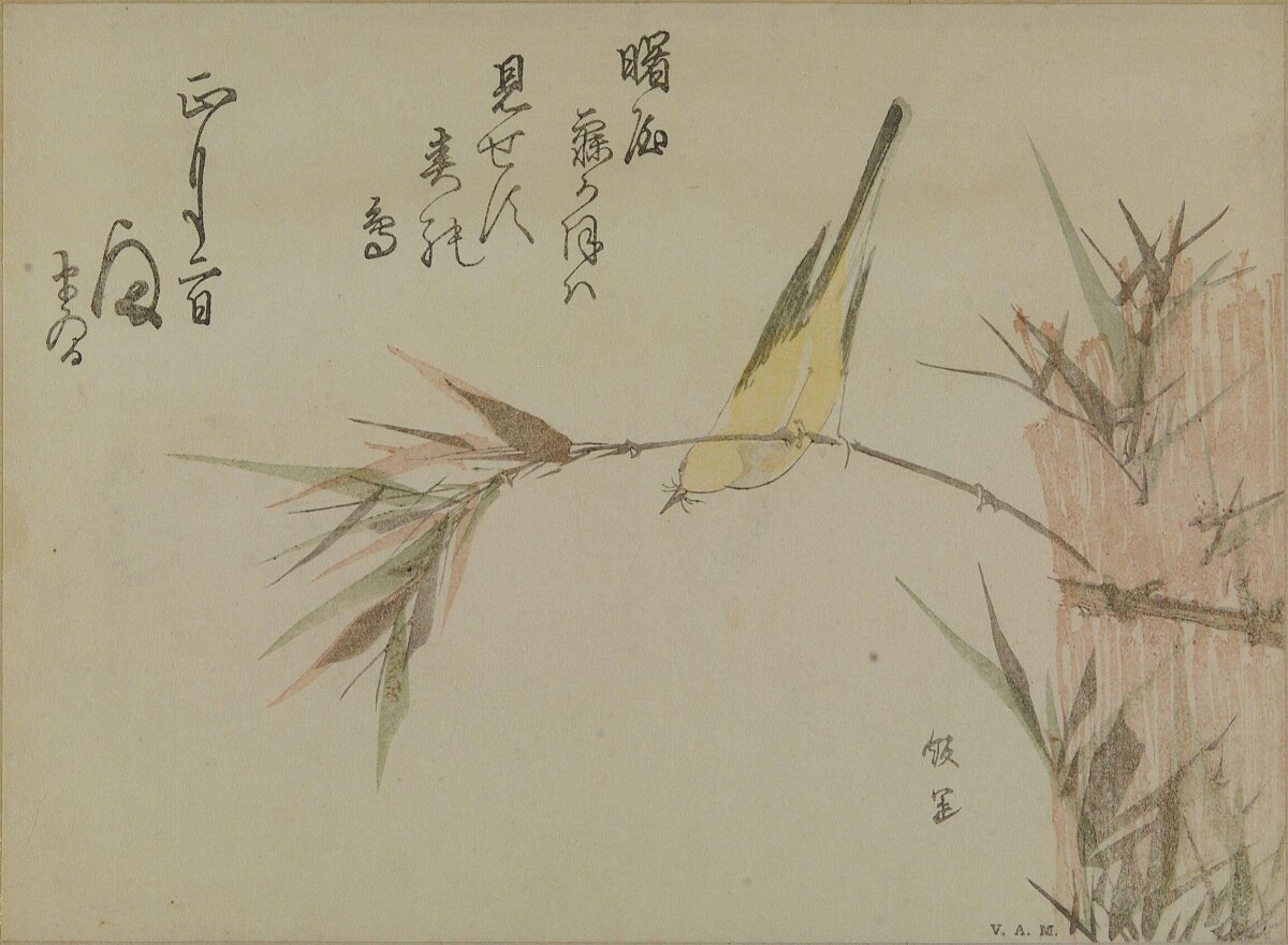Yellow Bird Perched on Bamboo