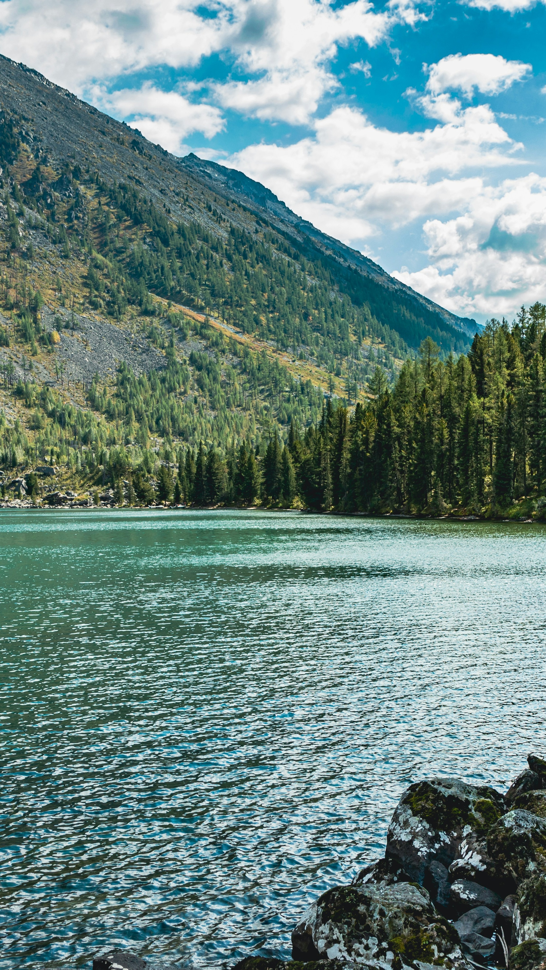 Landscapes