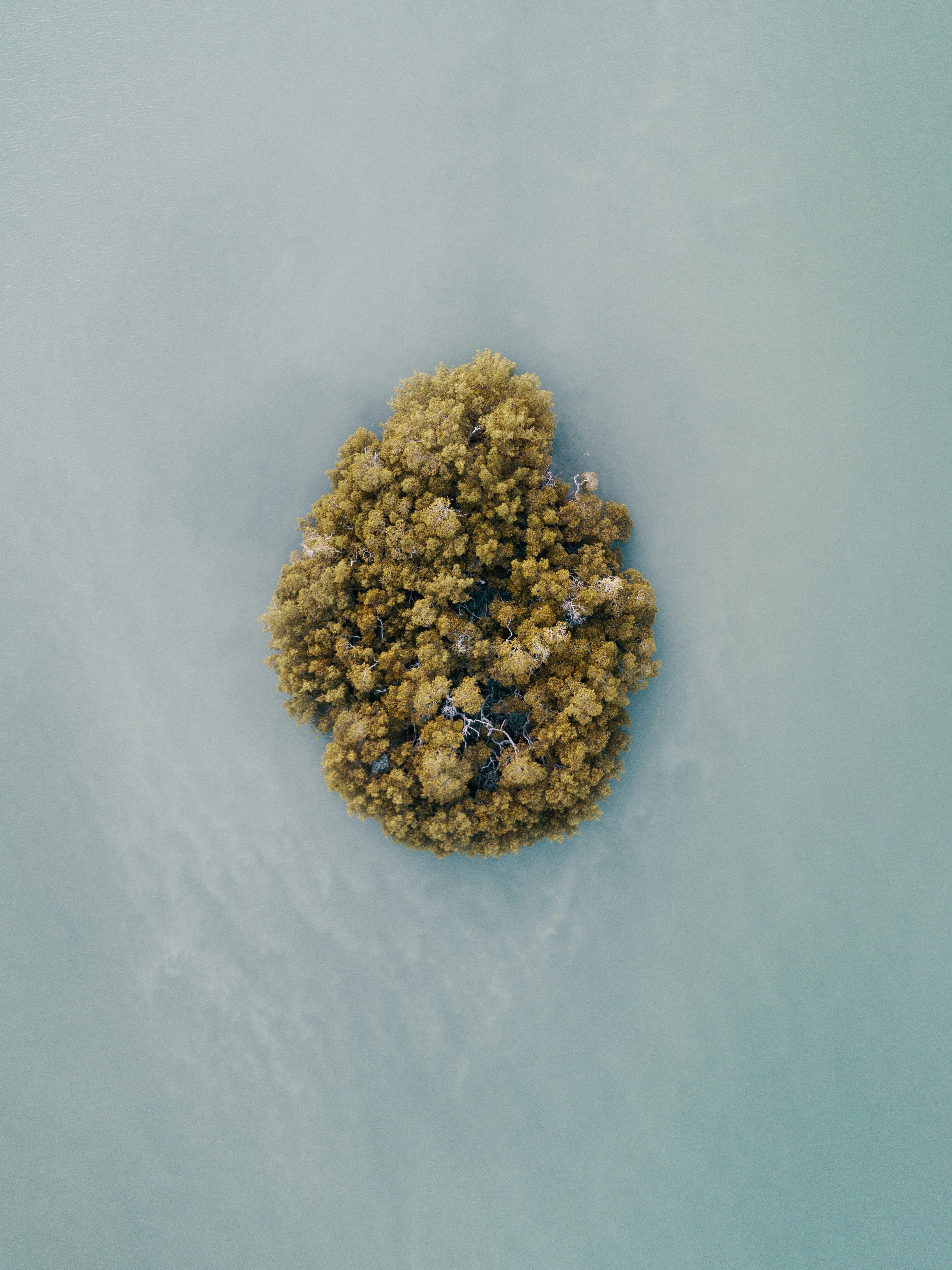Heart-shaped Forest Island on Calm Water