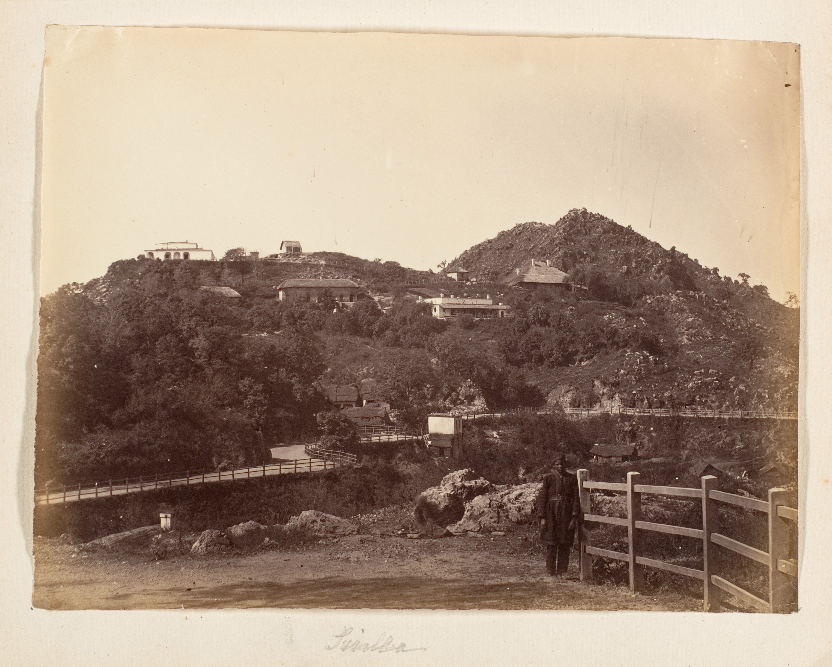Vintage View of Pindsa Hillside