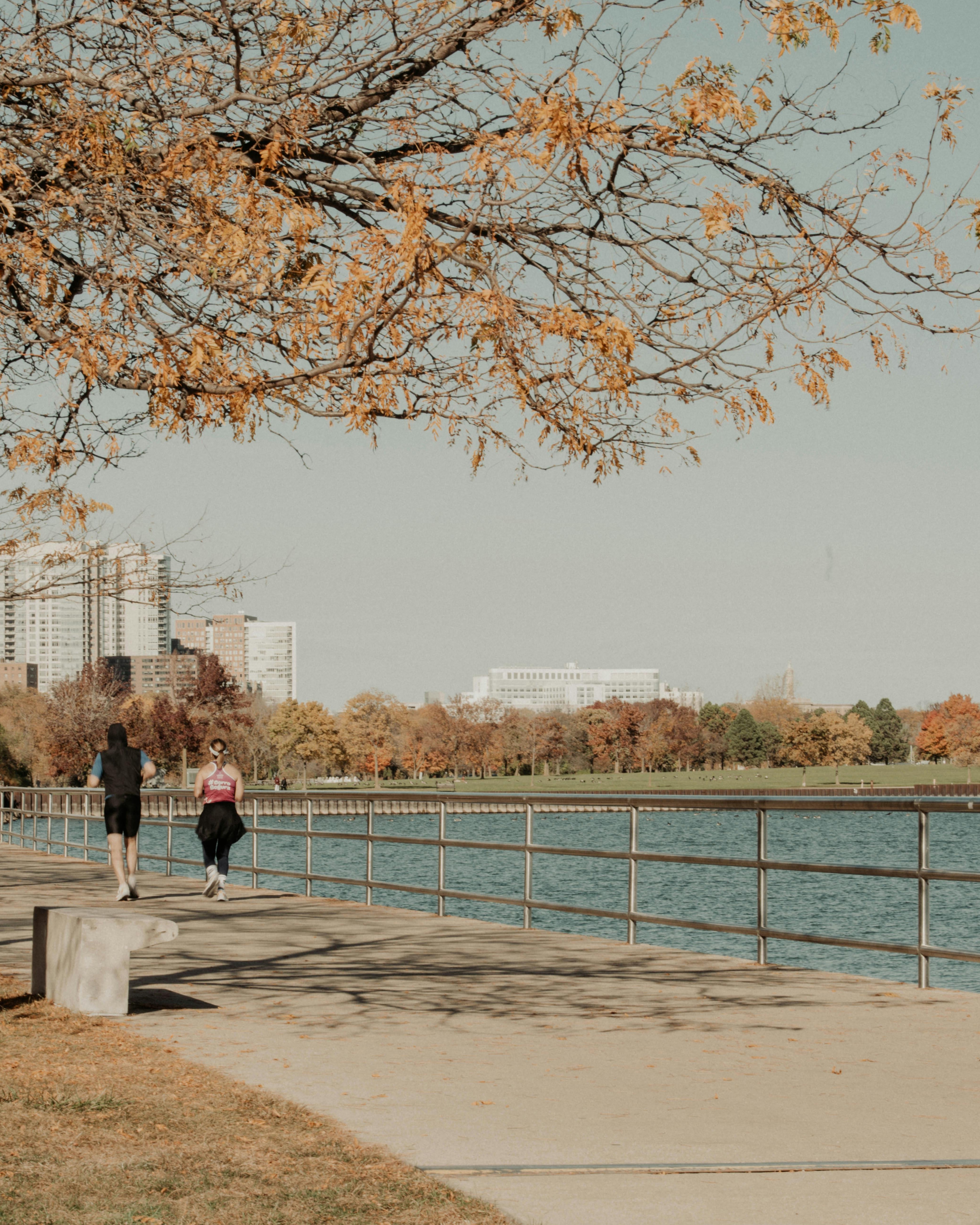 Two Joggers Running on Autumn Waterfront Path