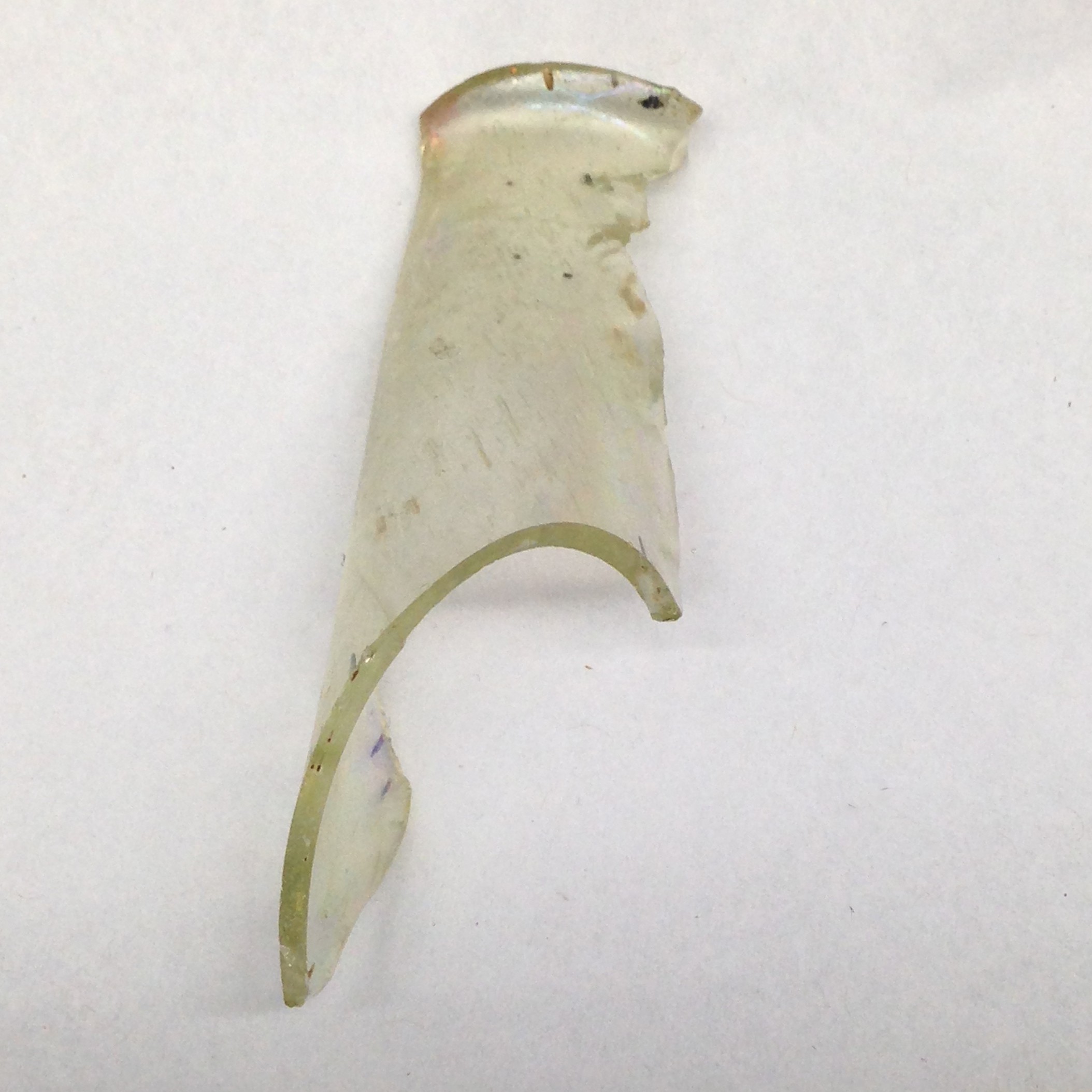 Curved Broken Glass Fragment
